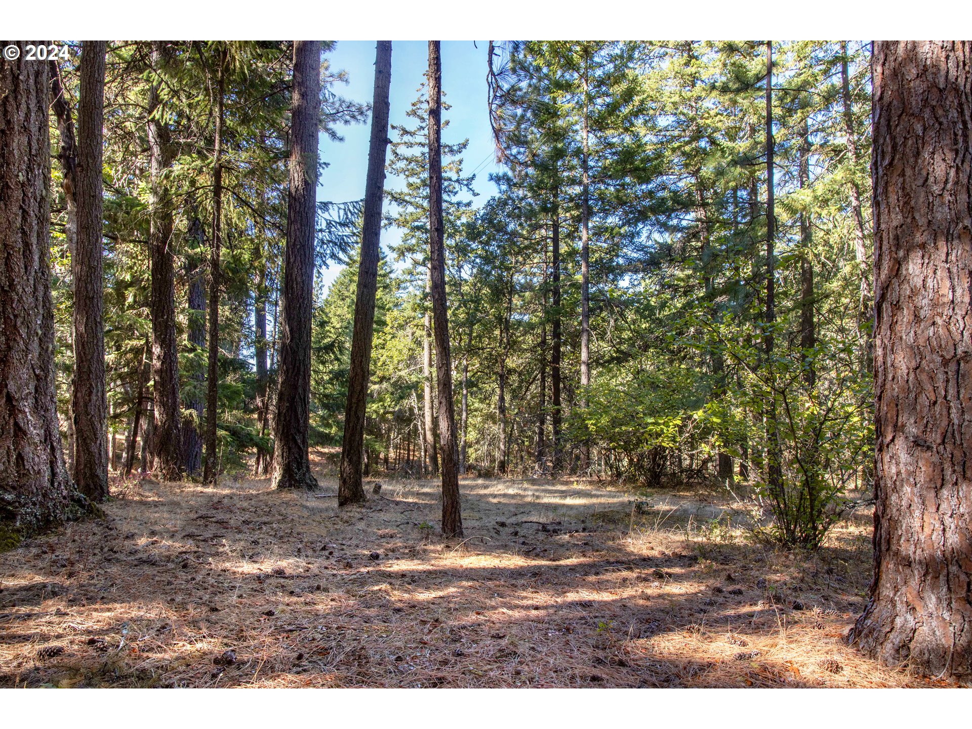 Paradise Ridge, Unit 1 Mosier, OR 97040 - Photo 19 of 22 Gallery Image 19