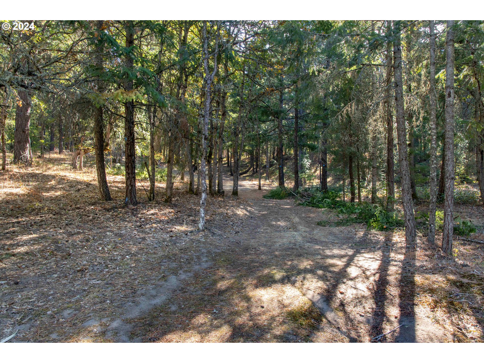 Paradise Ridge, Unit 1 Mosier, OR 97040 - Photo 21 of 22 Gallery Image 21