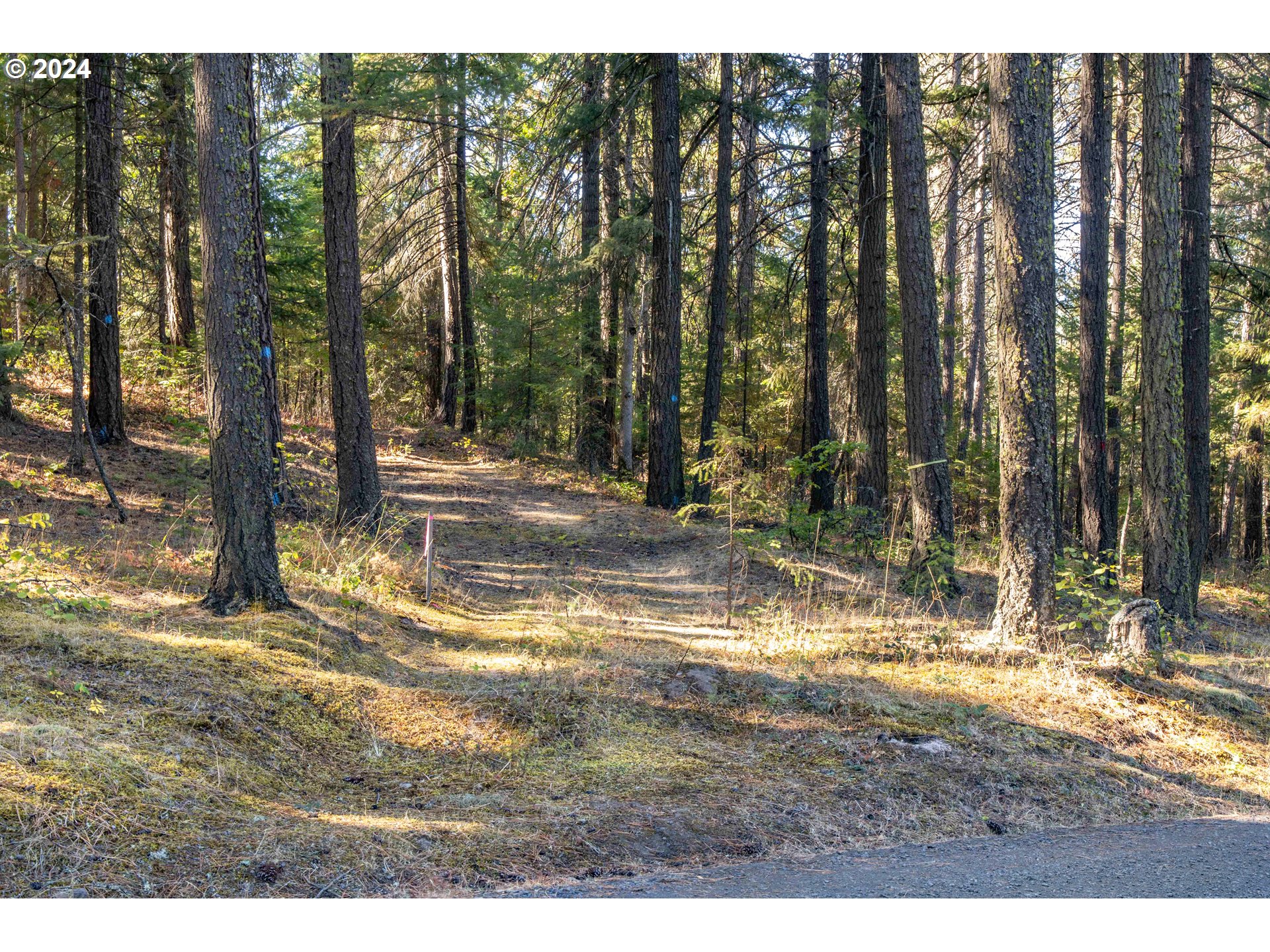 Paradise Ridge, Unit 1 Mosier, OR 97040 - Photo 3 of 22 Gallery Image 3