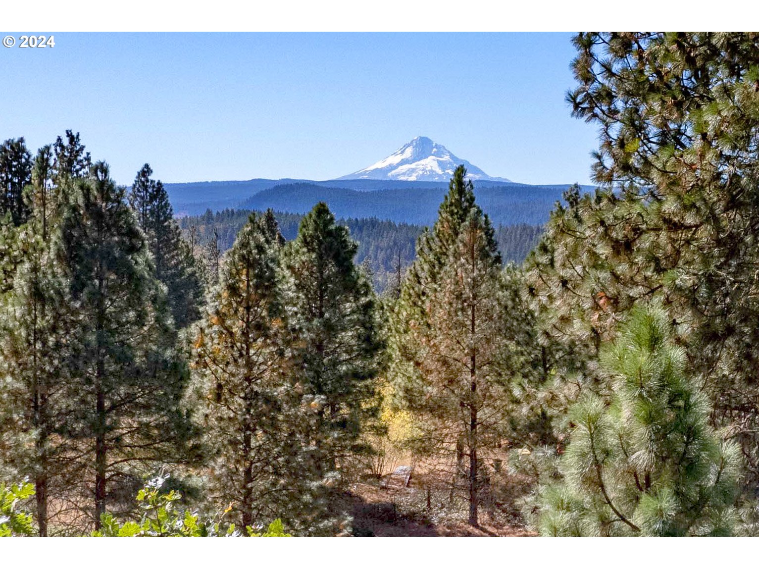 Paradise Ridge, Unit 1 Mosier, OR 97040 - Photo 5 of 22 Gallery Image 5