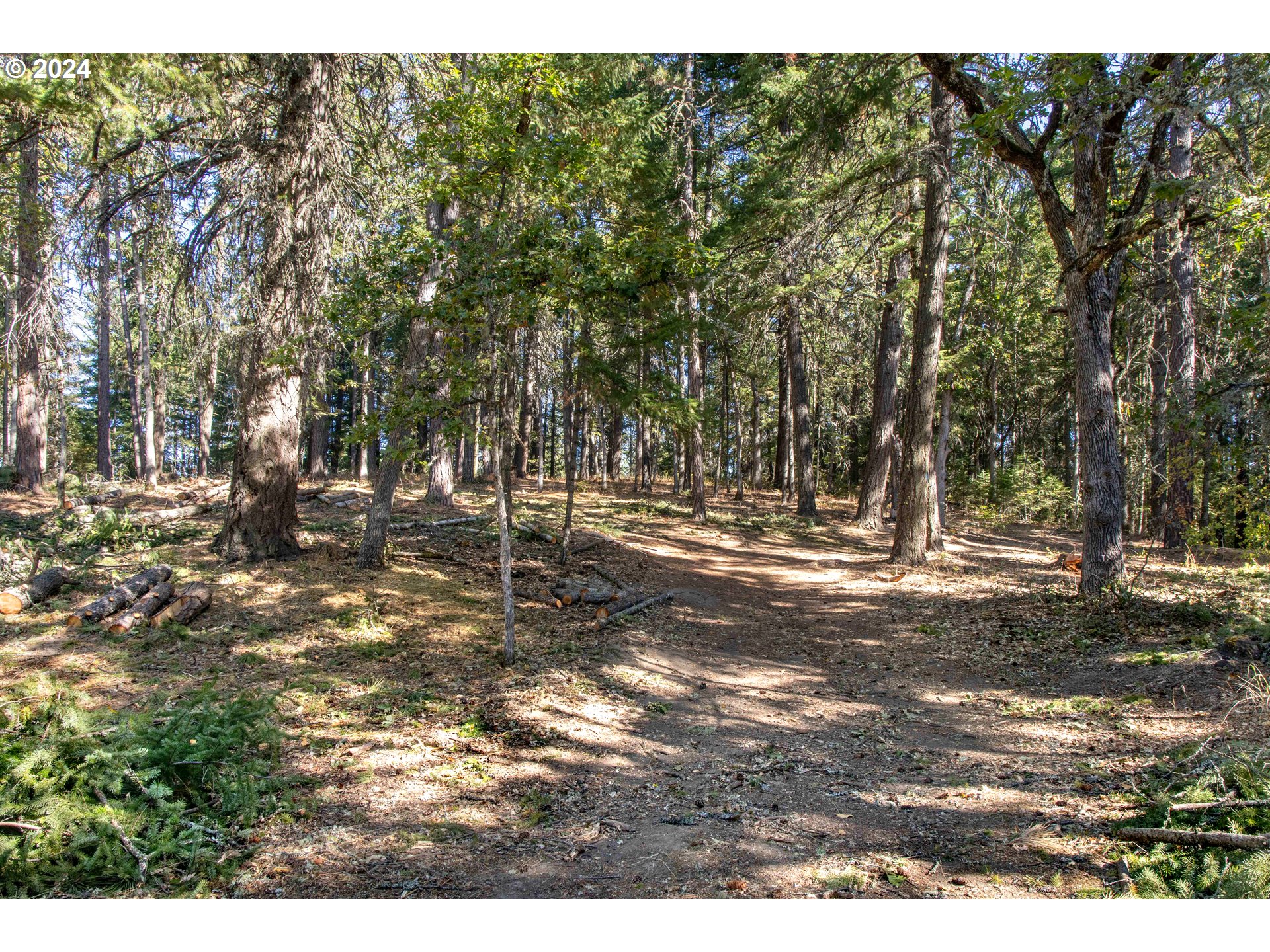 Paradise Ridge, Unit 1 Mosier, OR 97040 - Photo 8 of 22 Gallery Image 8