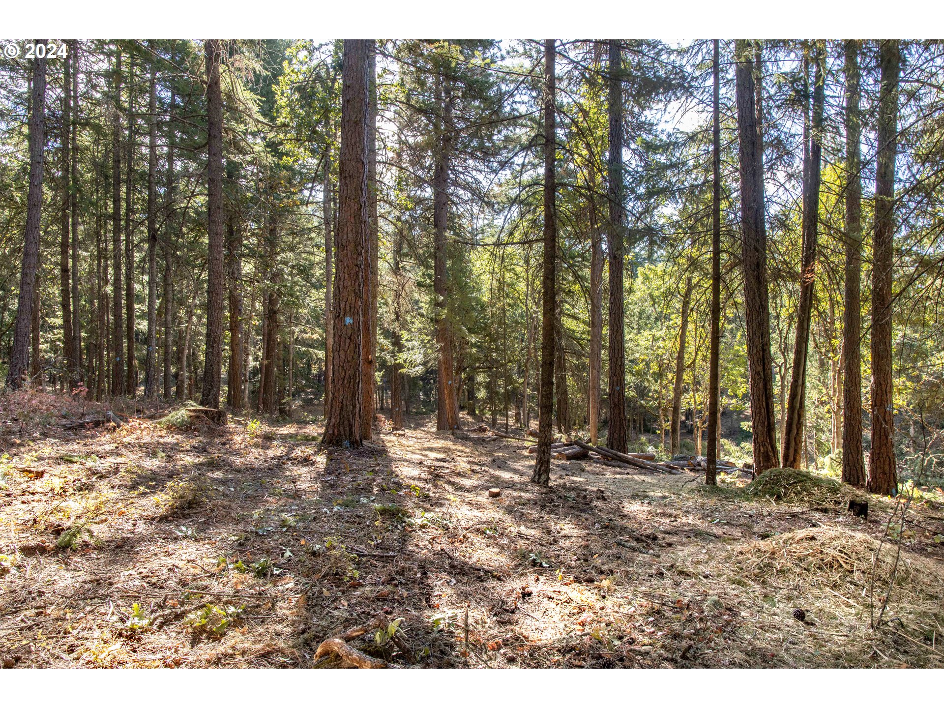 Paradise Ridge, Unit 1 Mosier, OR 97040 - Photo 10 of 22 Gallery Image 10