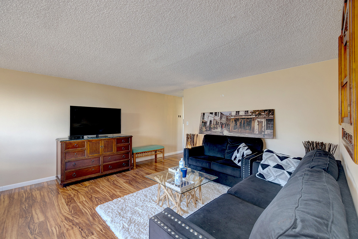 84 Pukihae Street, Unit 406 Hilo, HI 96720 - Photo 3 of 26 a living room with furniture and a flat screen tv
