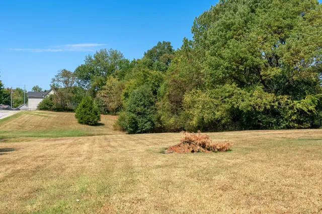 a view of living room with furniture and wooden floor