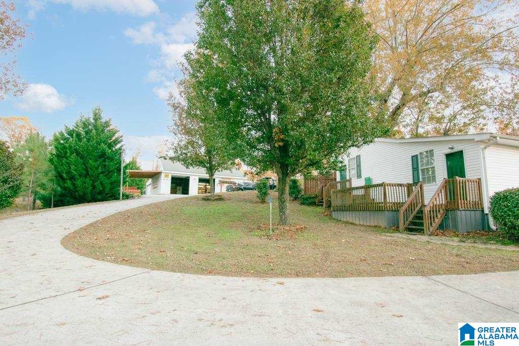 195 Mountain View Church Road Altoona, AL 35952 - Photo 5 of 49