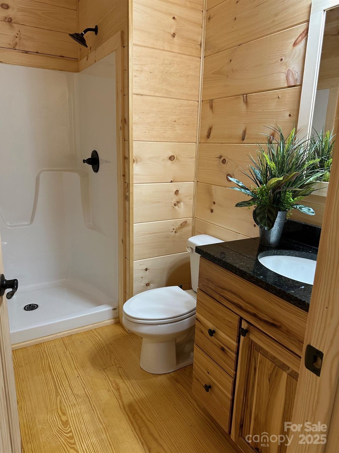 132 Chasewood Drive Rutherfordton, NC 28139 - Photo 30 of 40 a bathroom with a sink a toilet and shower