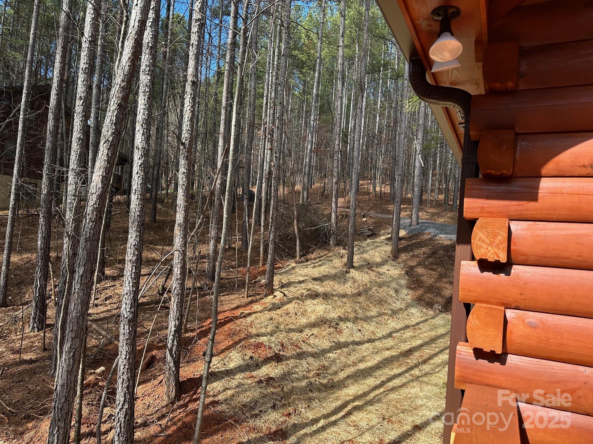 132 Chasewood Drive Rutherfordton, NC 28139 - Photo 36 of 40 a outdoor space with balcony