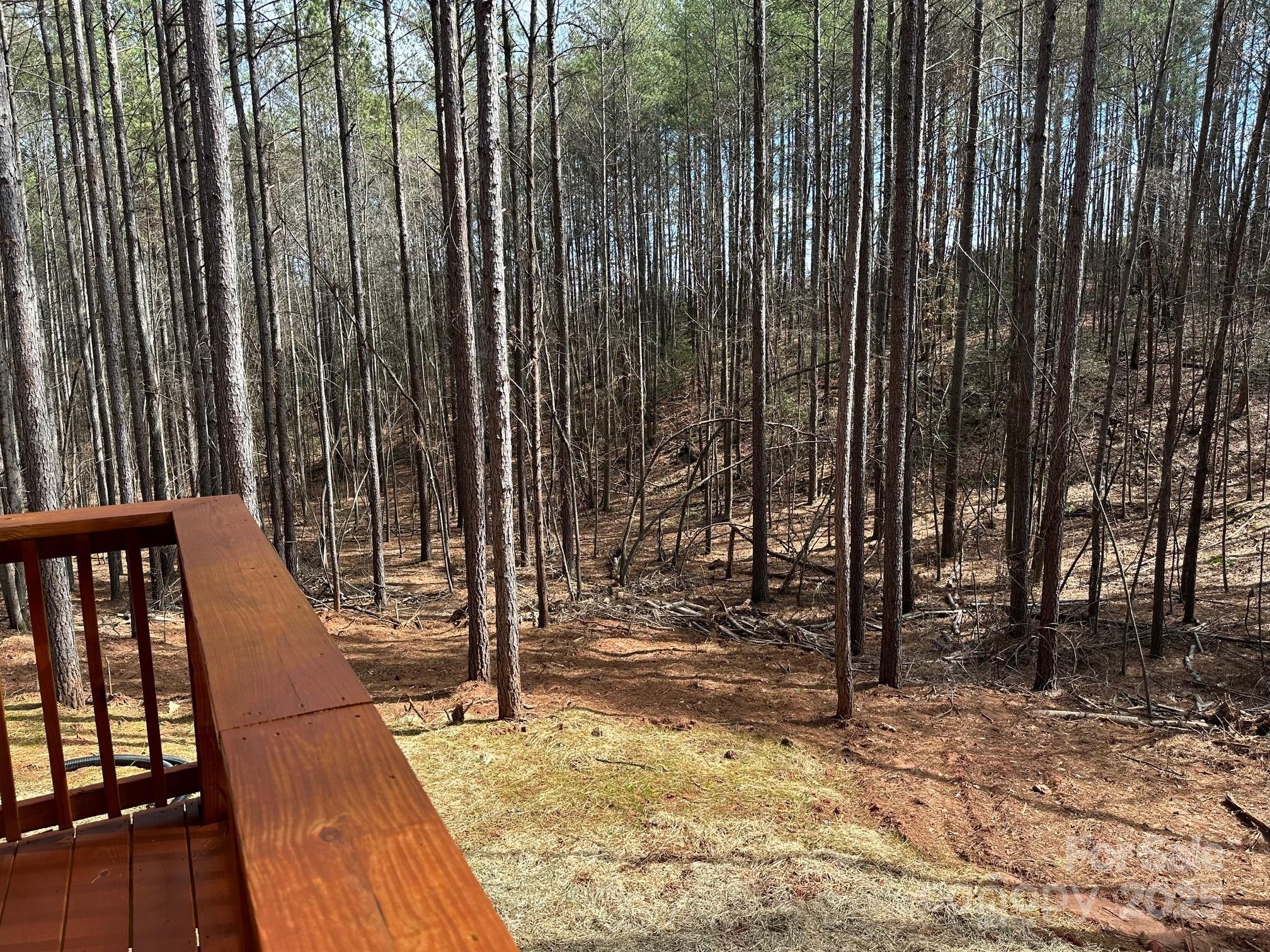 132 Chasewood Drive Rutherfordton, NC 28139 - Photo 37 of 40 a view of outdoor space with seating space