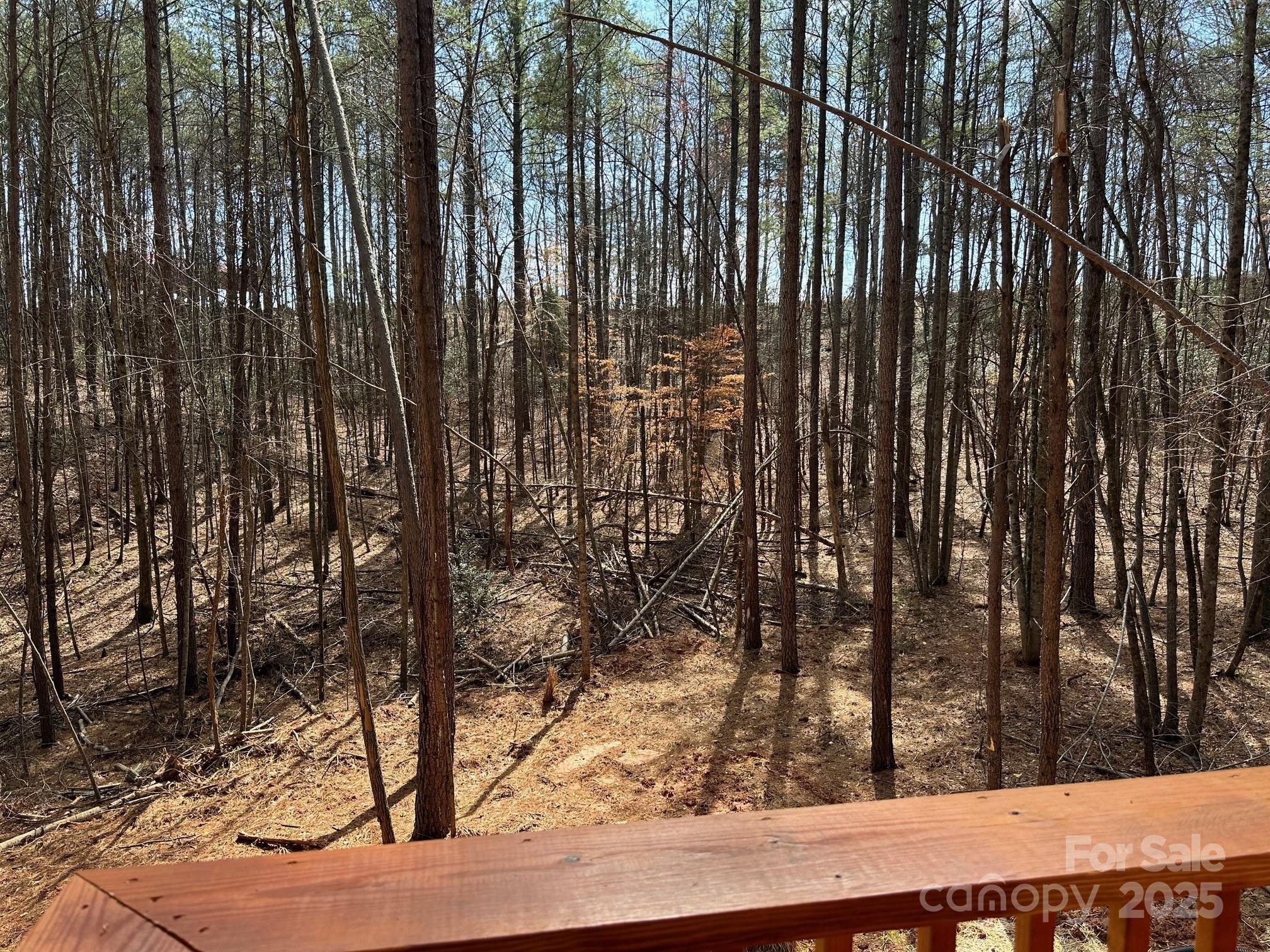 132 Chasewood Drive Rutherfordton, NC 28139 - Photo 38 of 40 a view of wooden floor