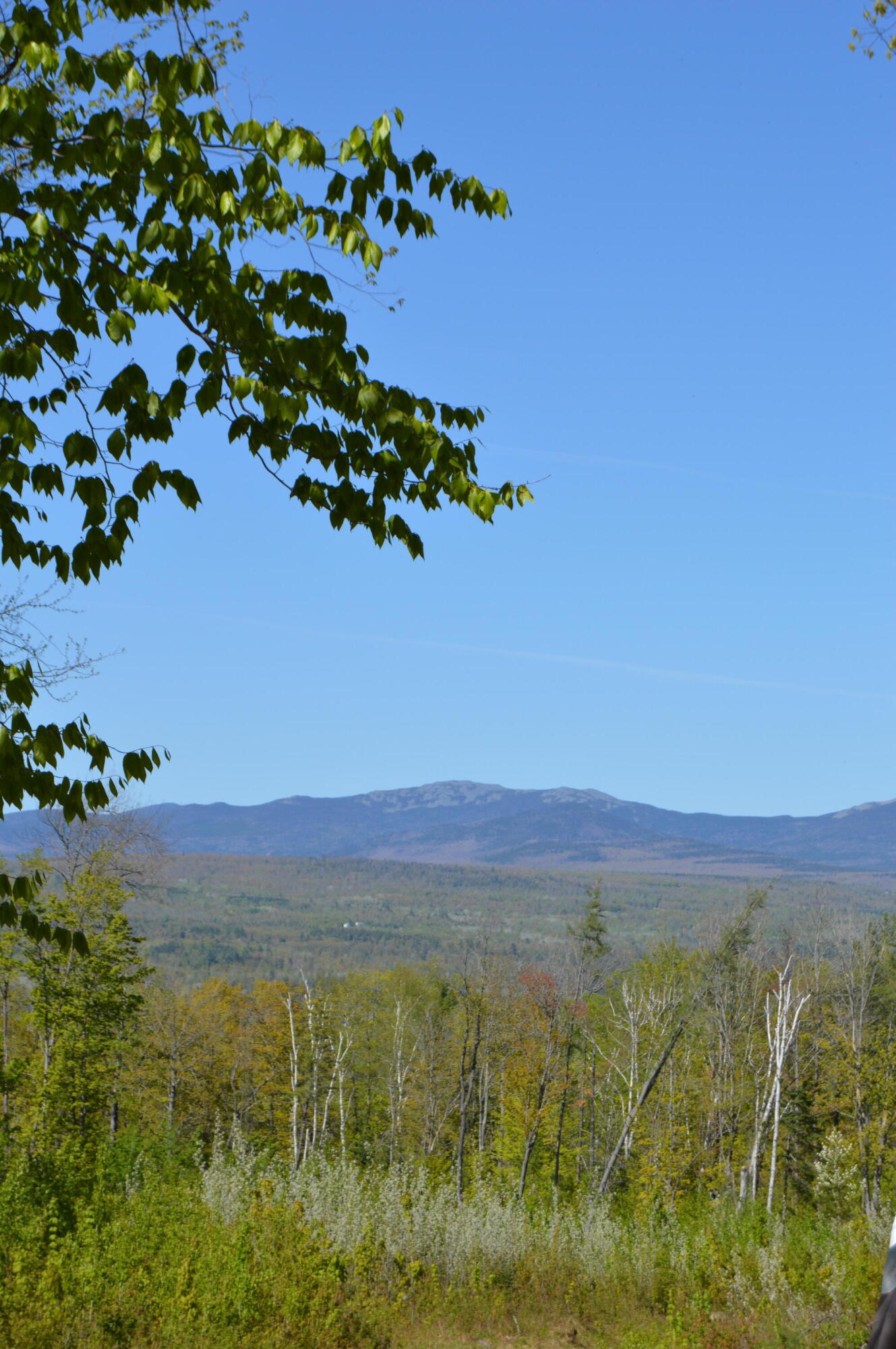 12 Map Road Phillips, ME 04966 - Photo 13 of 37 DSC_1846