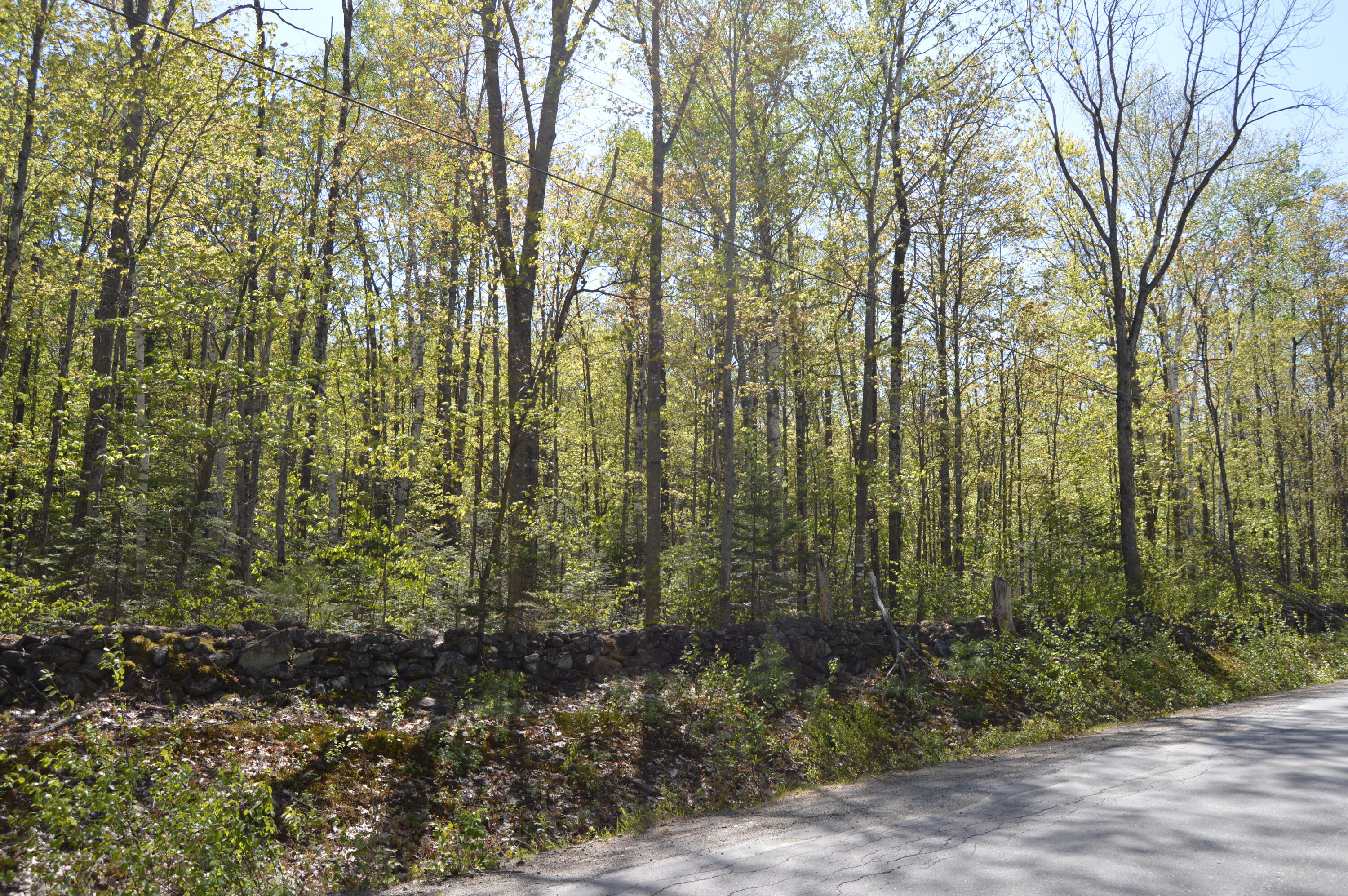 12 Map Road Phillips, ME 04966 - Photo 16 of 37 DSC_1840