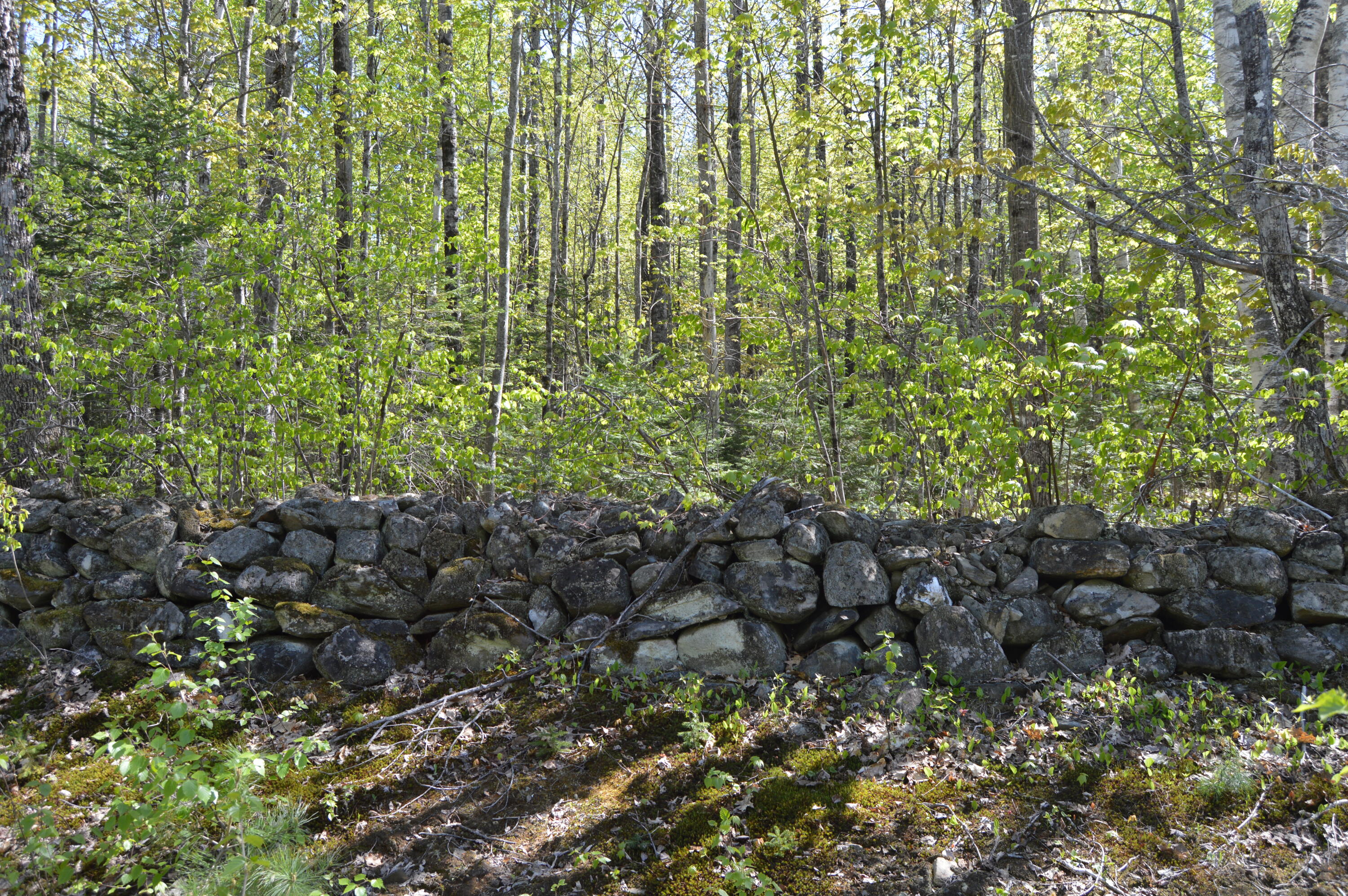 12 Map Road Phillips, ME 04966 - Photo 18 of 37 DSC_1849