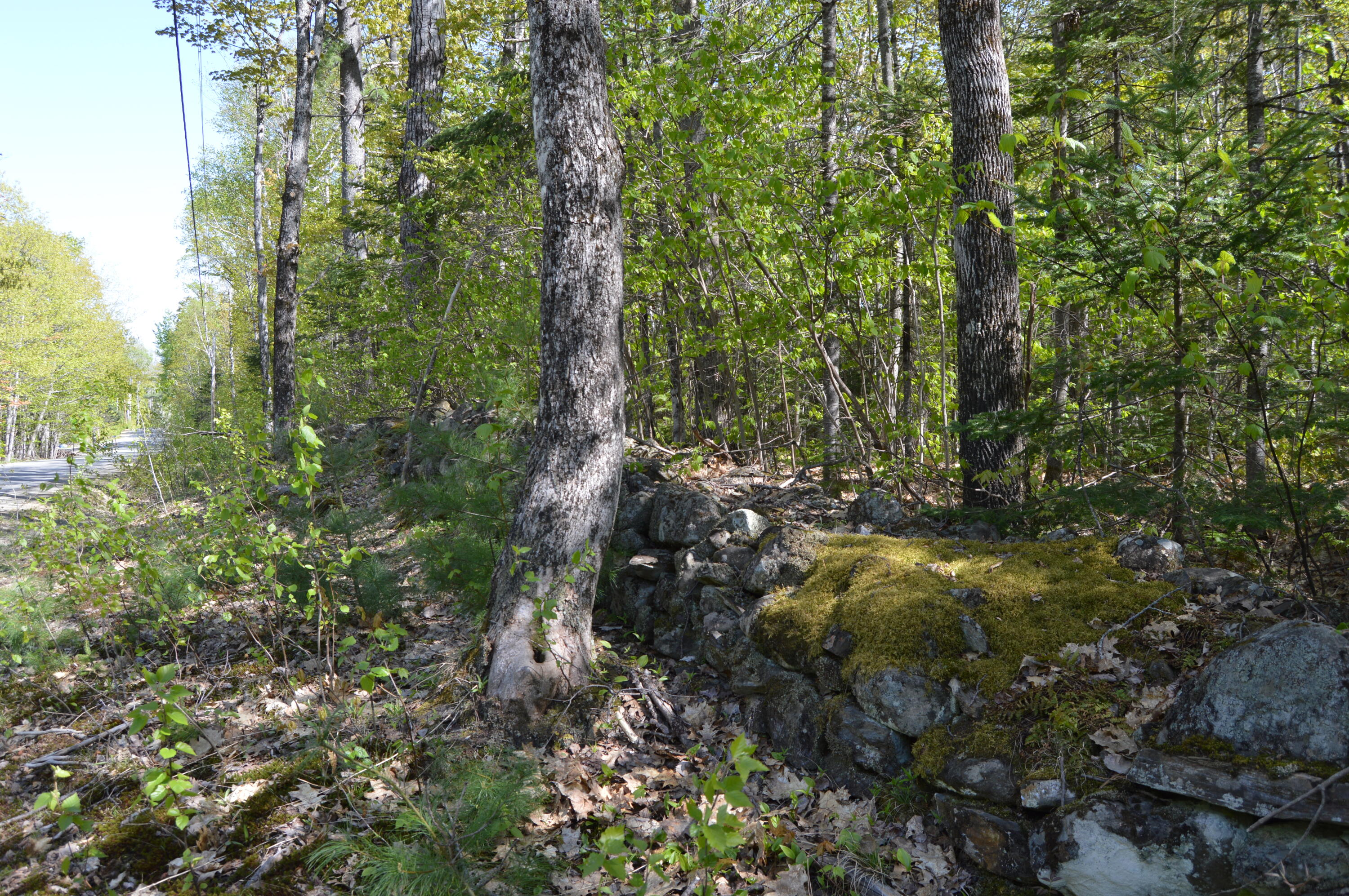 12 Map Road Phillips, ME 04966 - Photo 20 of 37 DSC_1851
