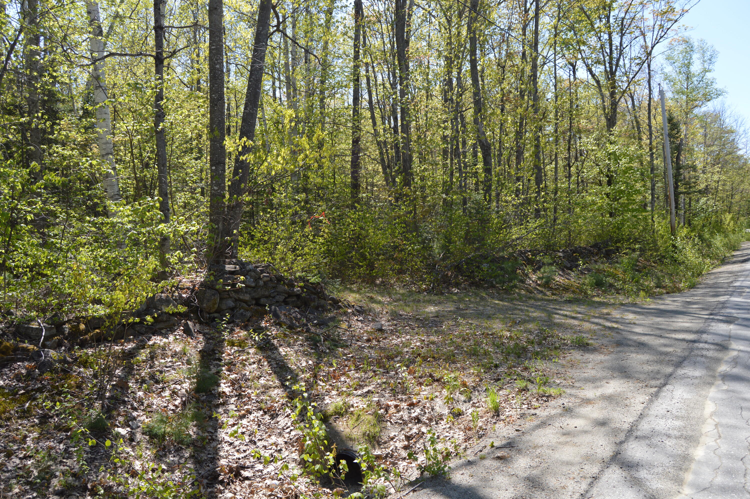 12 Map Road Phillips, ME 04966 - Photo 23 of 37 DSC_1841