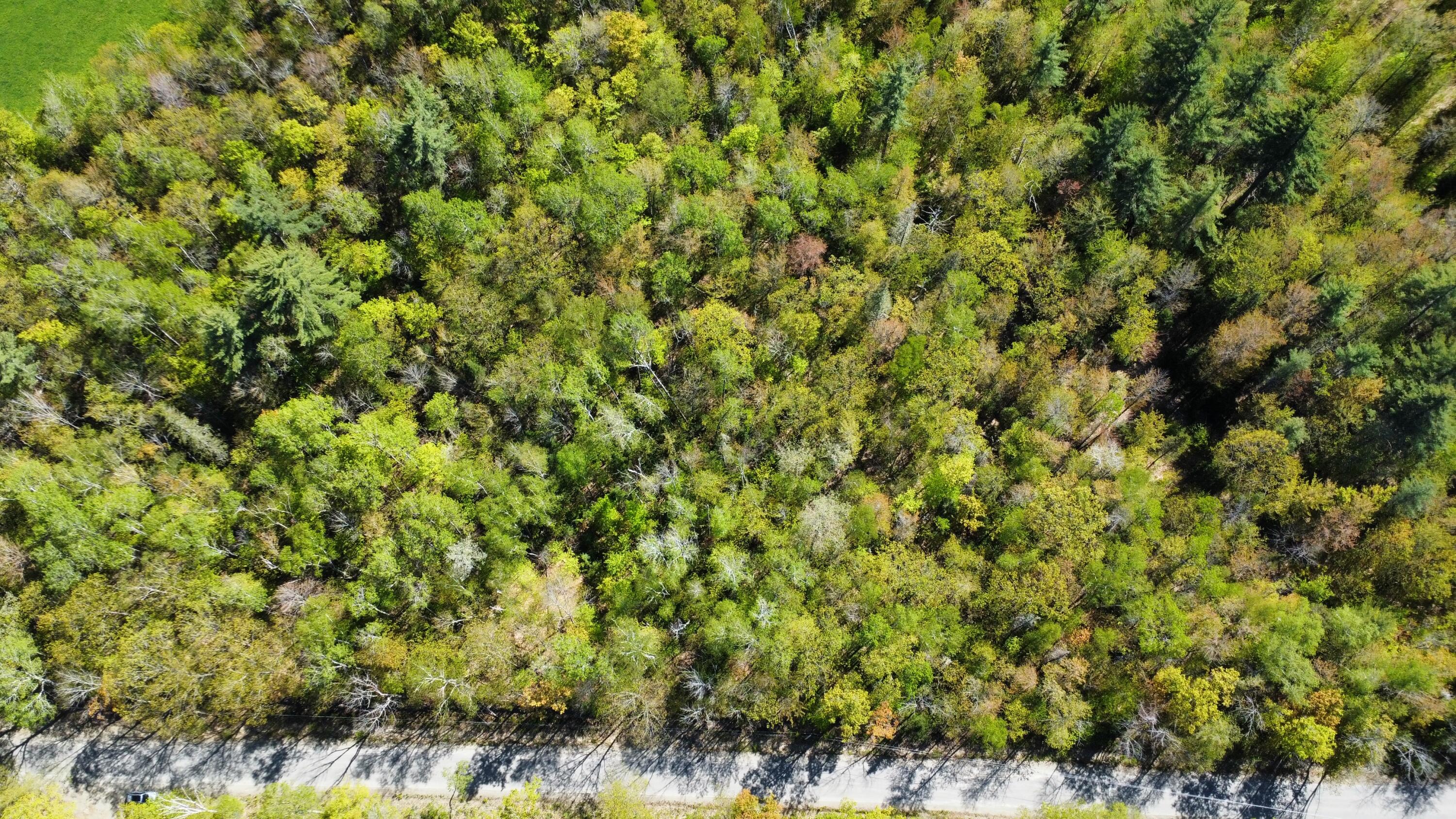 12 Map Road Phillips, ME 04966 - Photo 24 of 37 CBB2C61A-9DB0-4BD6-B255-987DE9636574