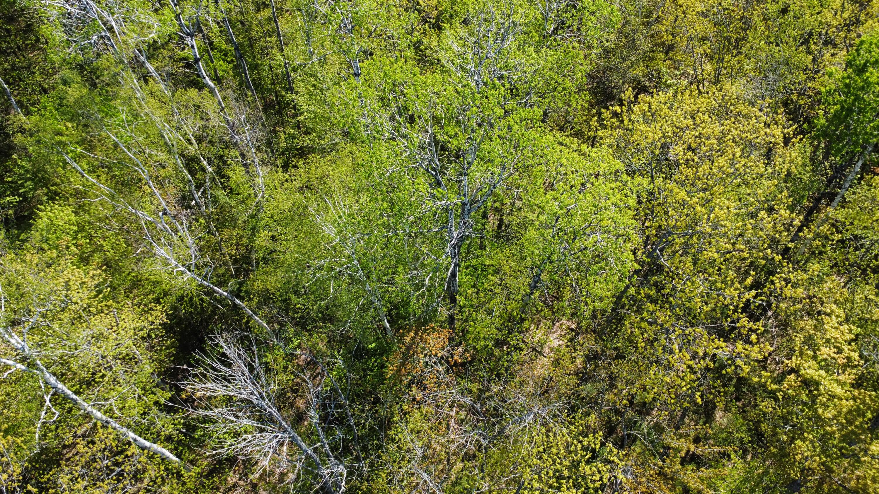 12 Map Road Phillips, ME 04966 - Photo 25 of 37 D203A138-9564-4A32-9AED-3522D5DDCB93