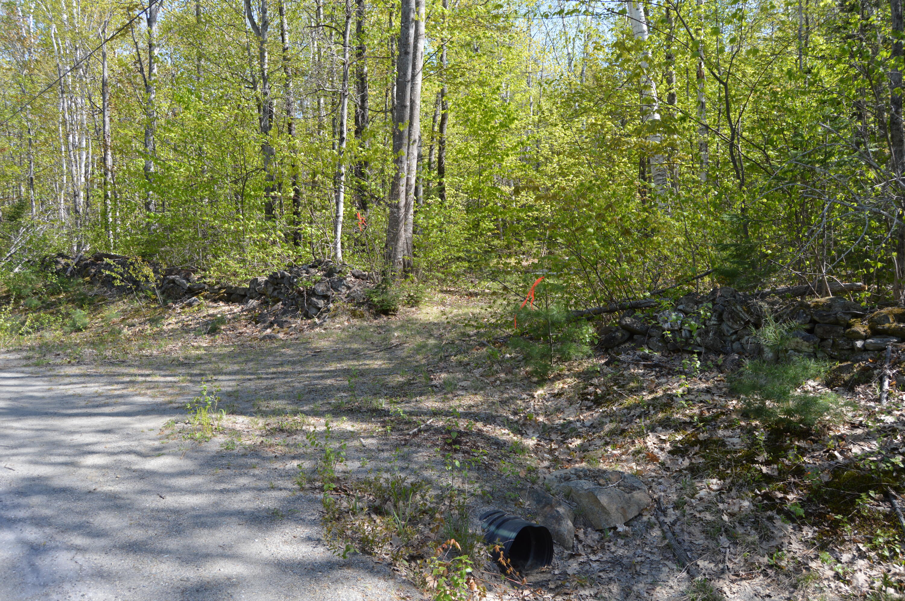 12 Map Road Phillips, ME 04966 - Photo 29 of 37 DSC_1844