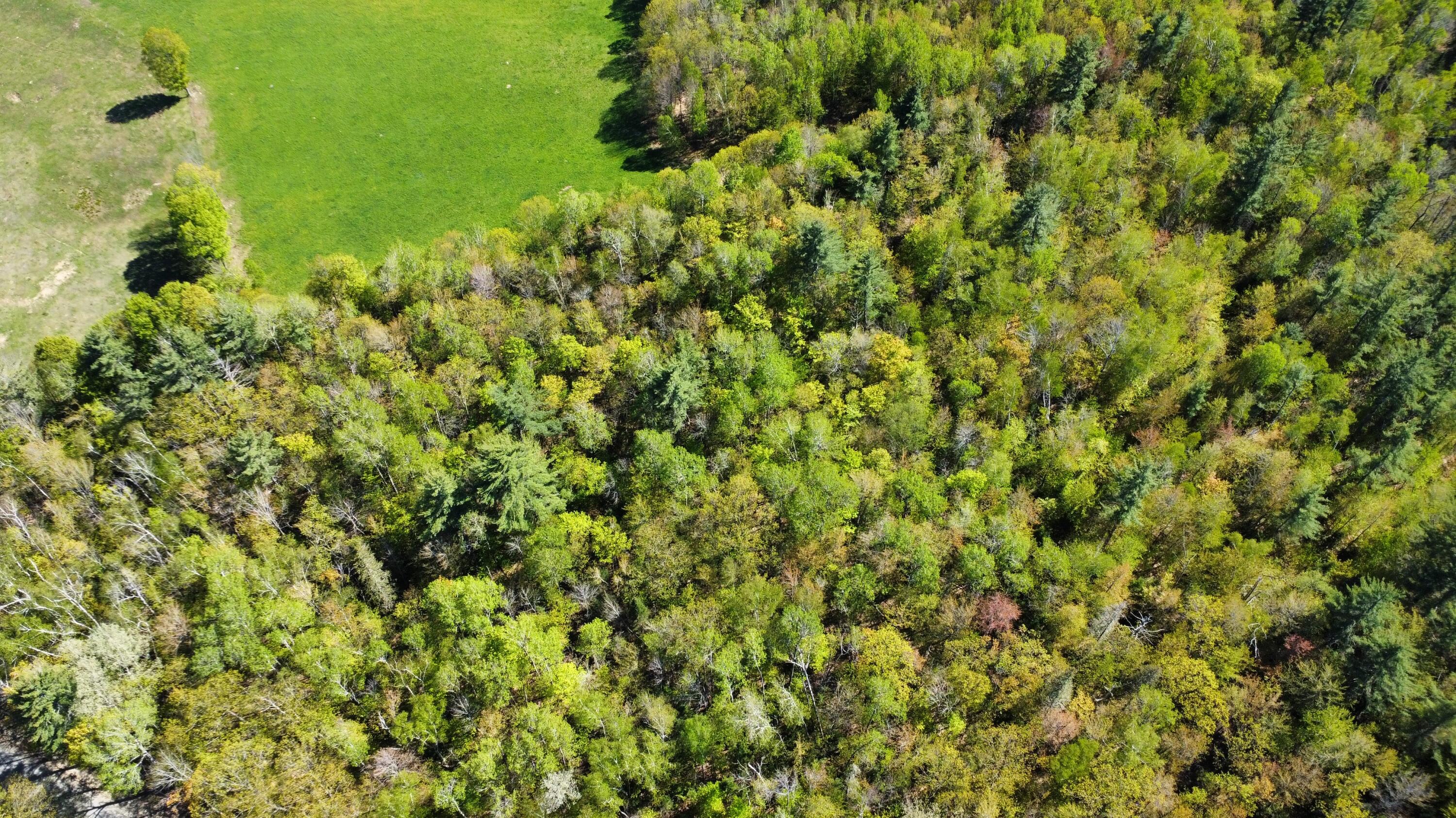 12 Map Road Phillips, ME 04966 - Photo 30 of 37 0850AF2C-5467-4FD7-8942-CC9015AD1F67