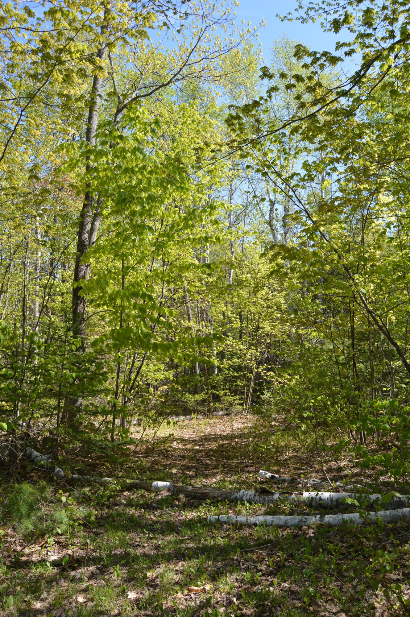 12 Map Road Phillips, ME 04966 - Photo 31 of 37 DSC_1842