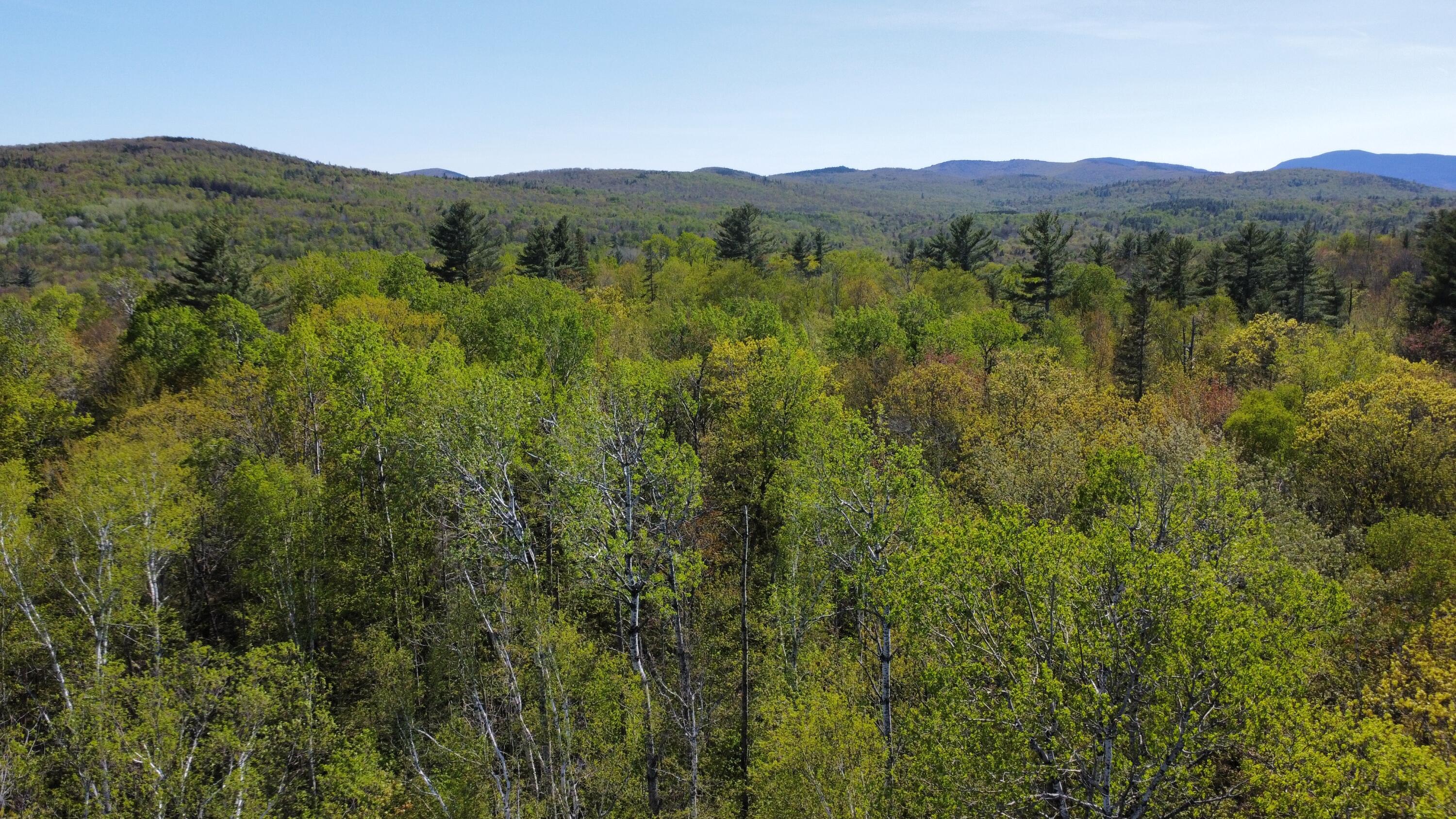 12 Map Road Phillips, ME 04966 - Photo 35 of 37 75102BBA-9CFE-4F14-8E16-18325B1A9919