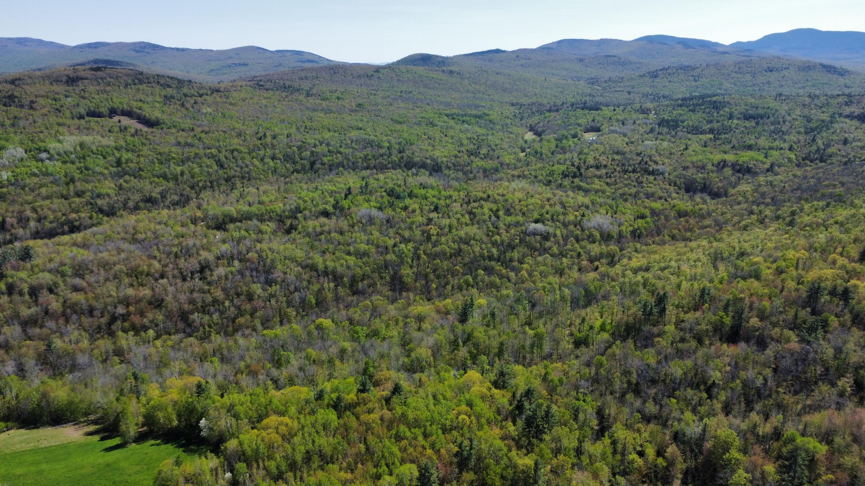 12 Map Road Phillips, ME 04966 - Photo 5 of 37 39C054D3-FE11-40CE-AD97-7B6FA201F602