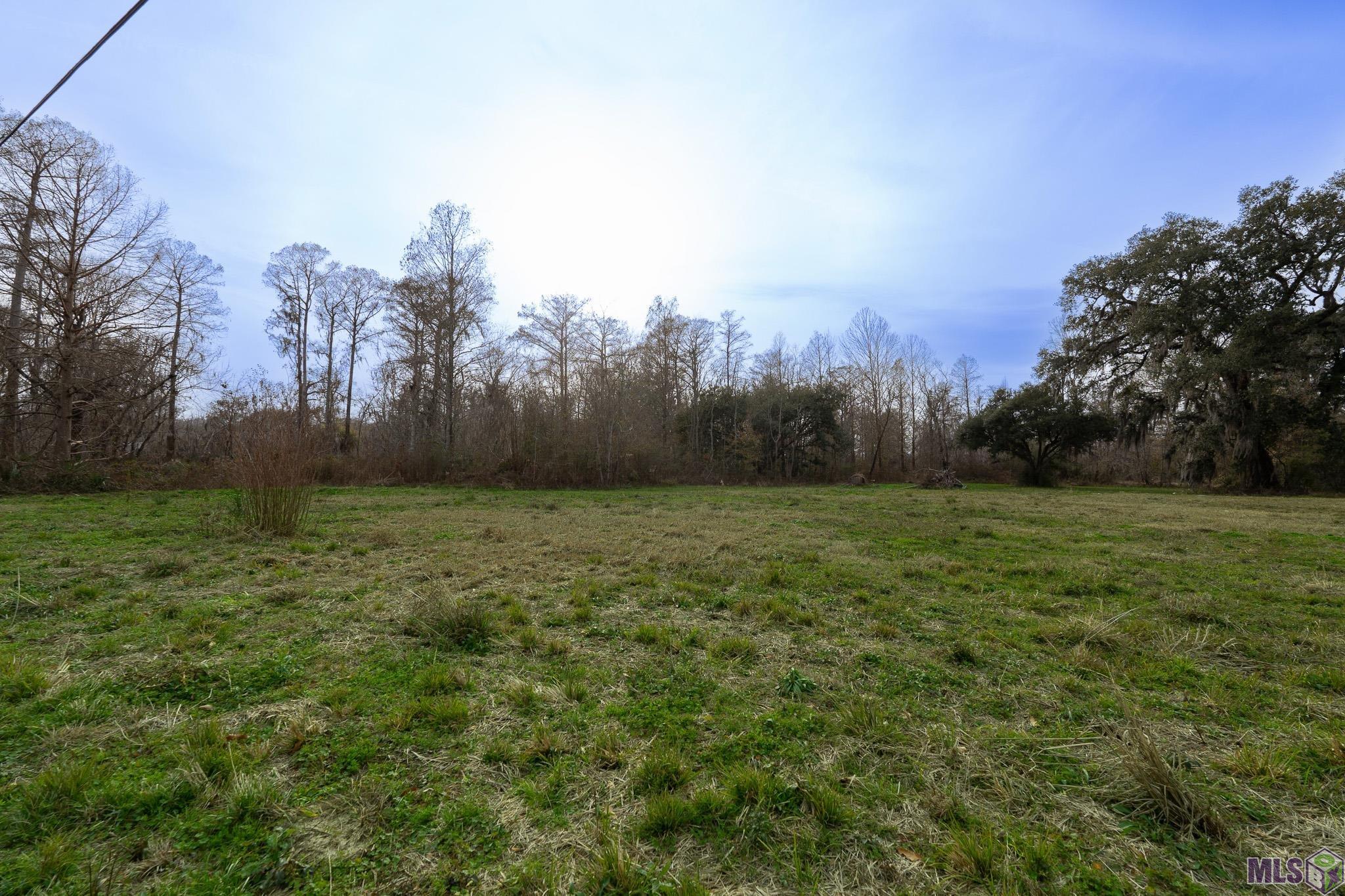 12253 Beco Road St. Amant, LA 70774 - Photo 3 of 5 Gallery Image 3