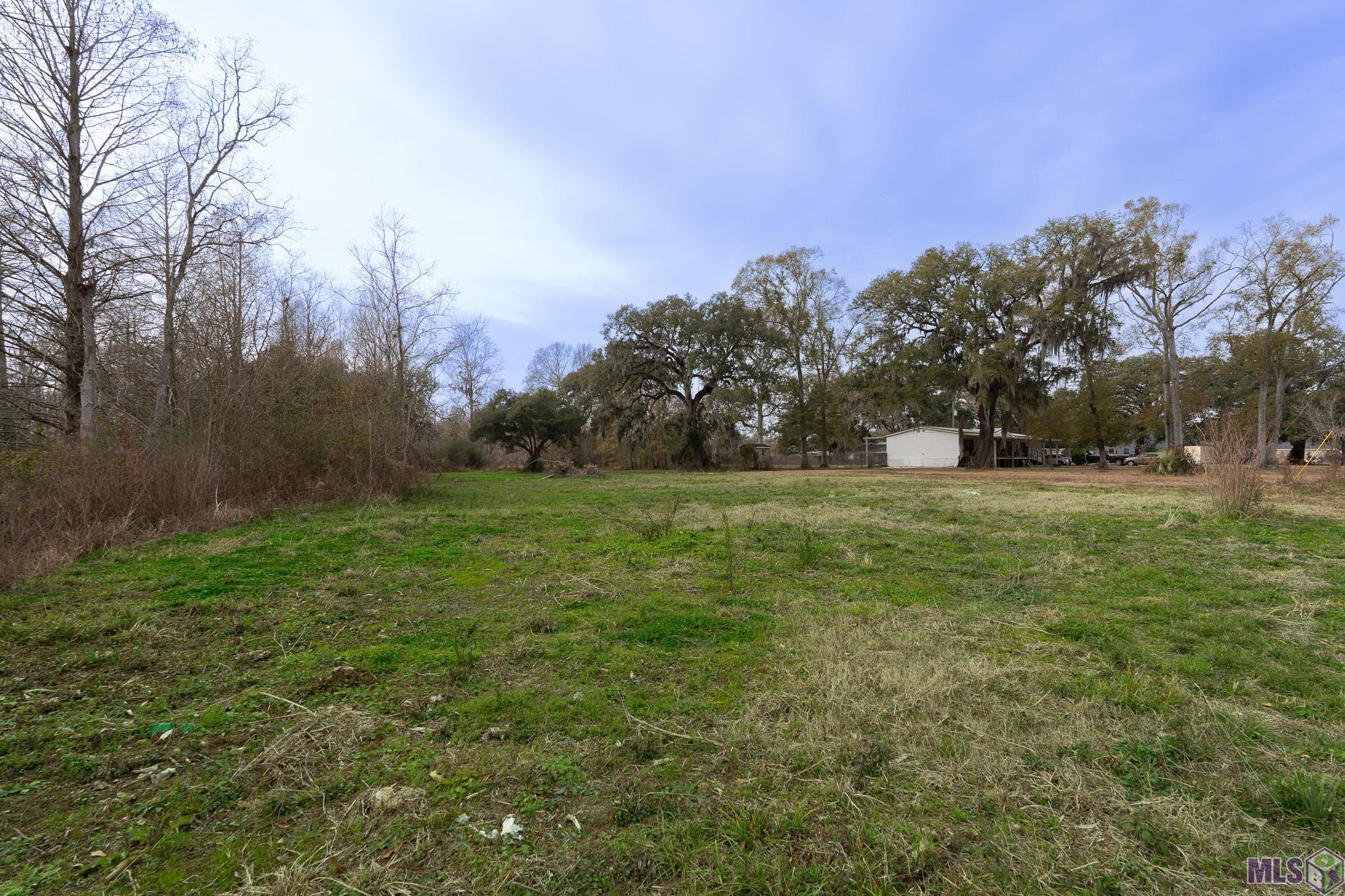 12253 Beco Road St. Amant, LA 70774 - Photo 4 of 5 Gallery Image 4