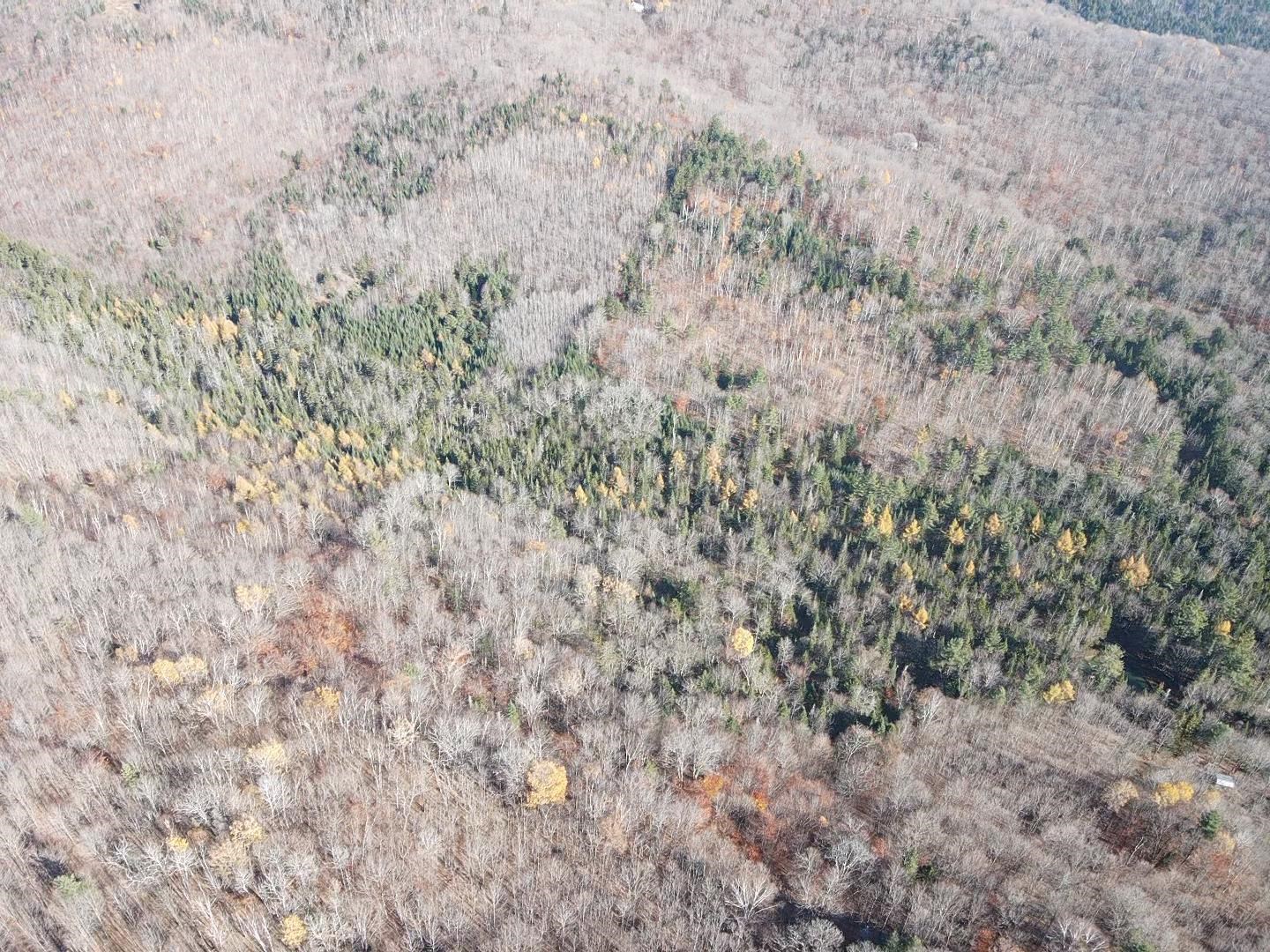 0 Harts Road Topsham, VT 05076 - Photo 18 of 25
