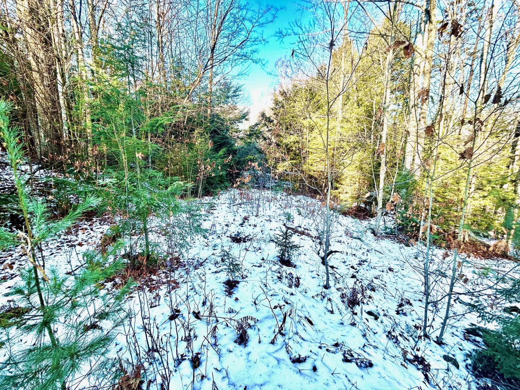 Longfellow Road, Unit 2 Woodsville, NH 03785 - Photo 3 of 5 Gallery Image 3