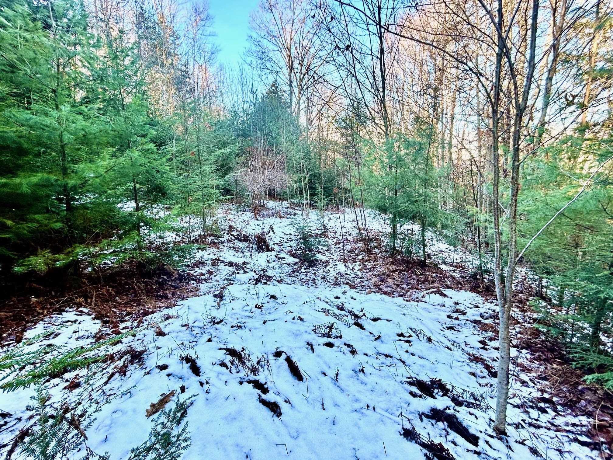 Longfellow Road, Unit 2 Woodsville, NH 03785 - Photo 4 of 5 Gallery Image 4