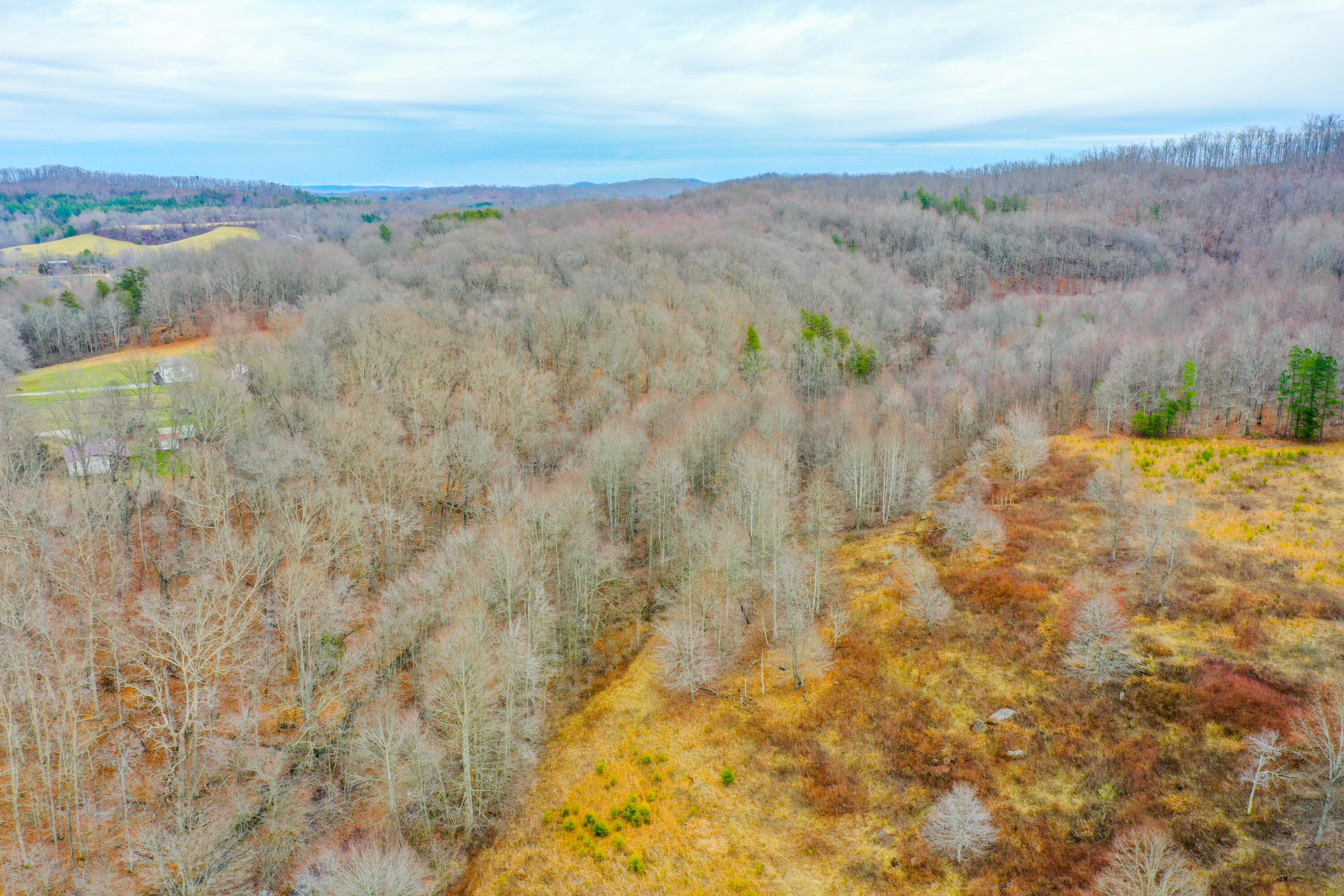 1763 Burnett Road London, KY 40744 - Photo 24 of 92 org_0a9e4ba9d2fb82db_1706642438000-HDR