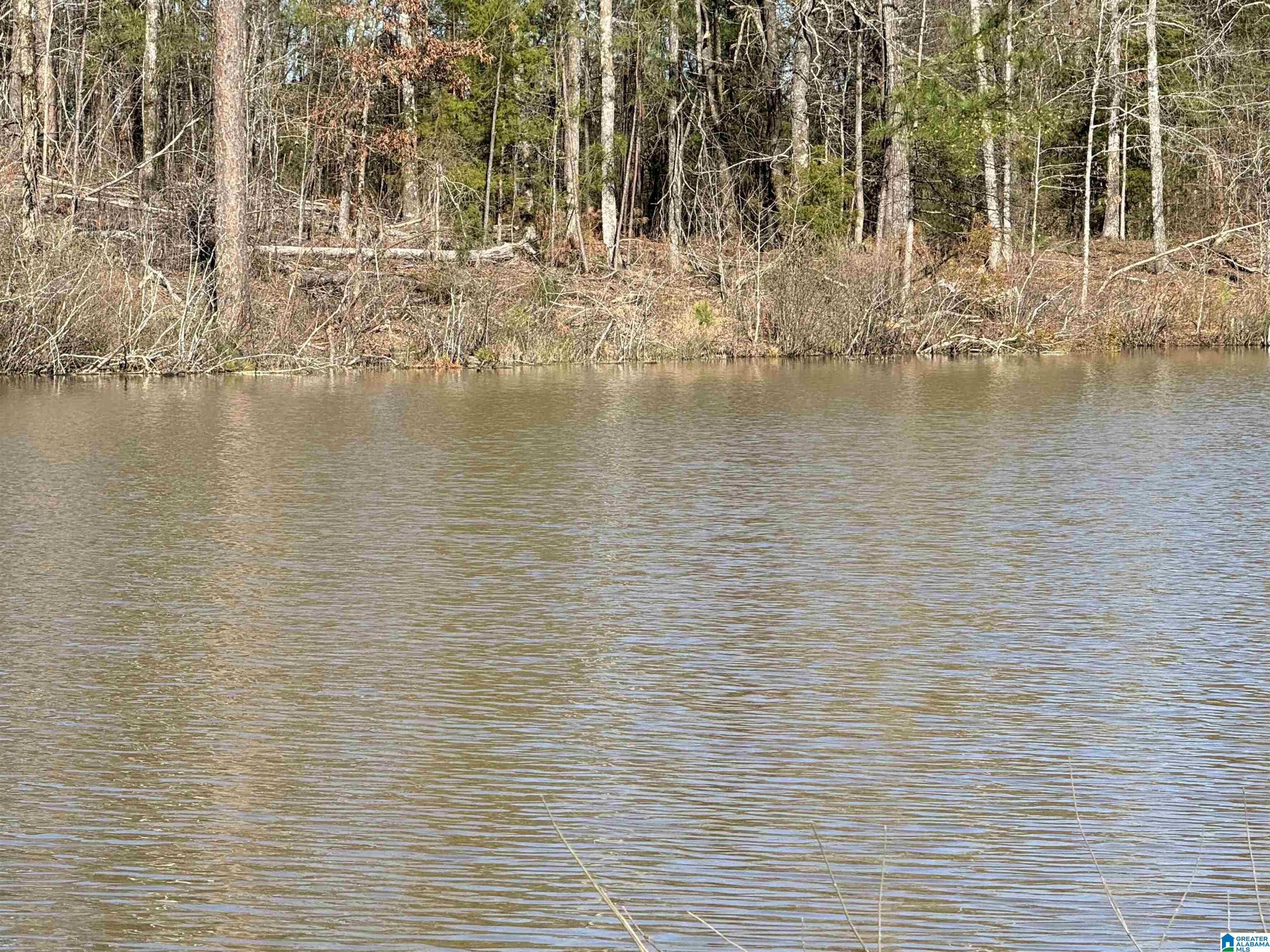 1080 County Road 46, Unit 1 Montevallo, AL 35115 - Photo 2 of 13
