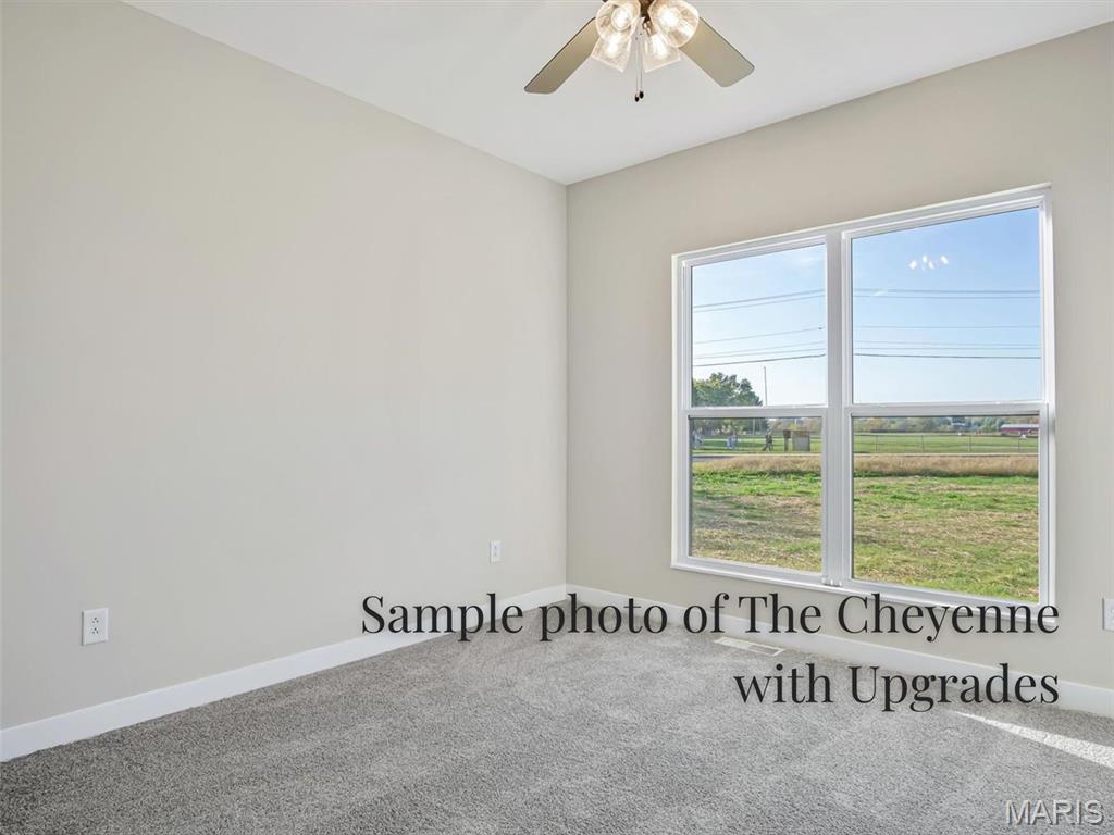 330 Jenny Court Waterloo, IL 62298 - Photo 13 of 27