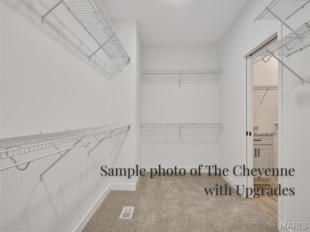 330 Jenny Court Waterloo, IL 62298 - Photo 18 of 27