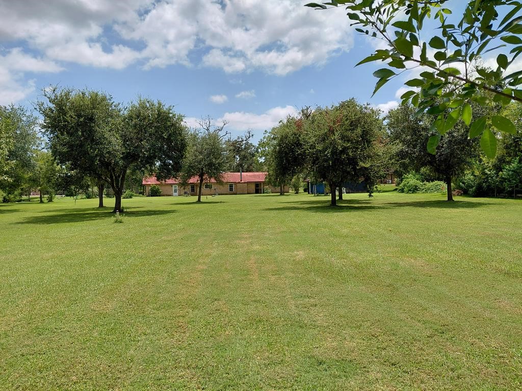 1231 County Road 201A Angleton, TX 77515 - Photo 5 of 26