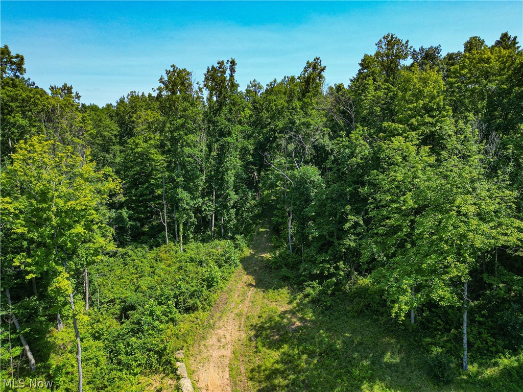27339 Tabor Ridge Road Caldwell, OH 43724 - Photo 9 of 50