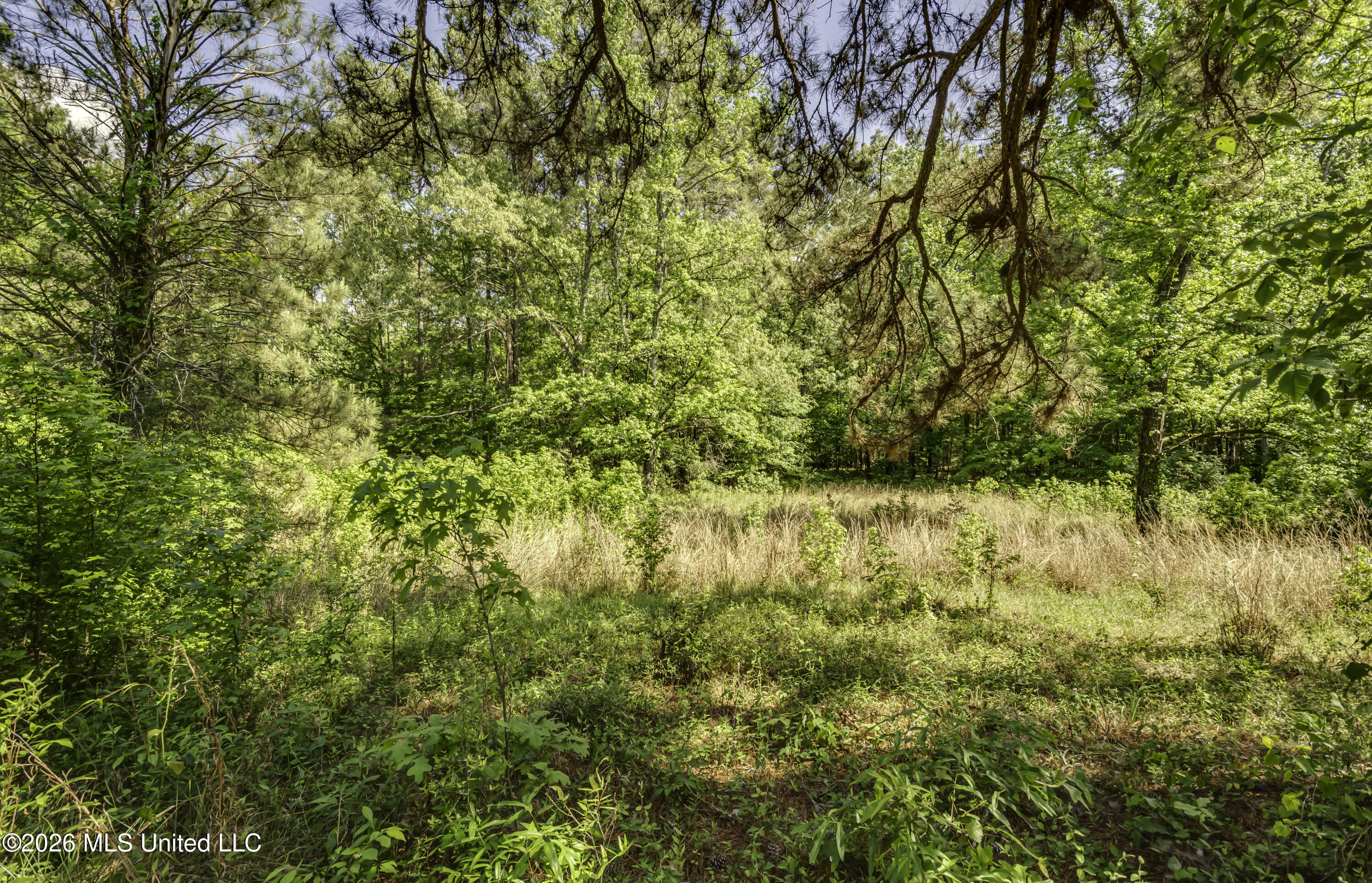 6118 Terry Road Byram, MS 39272 - Photo 61 of 62 6118 Terry Rd--64
