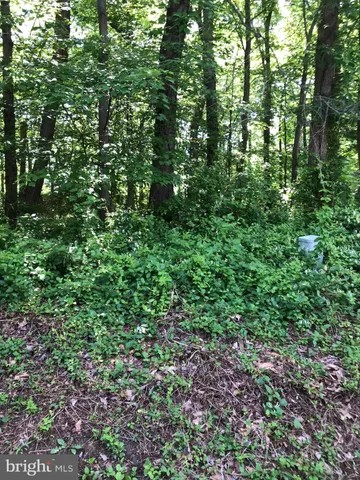 $3,000 | 1539 Woodcrest Drive, Reston, VA 20194