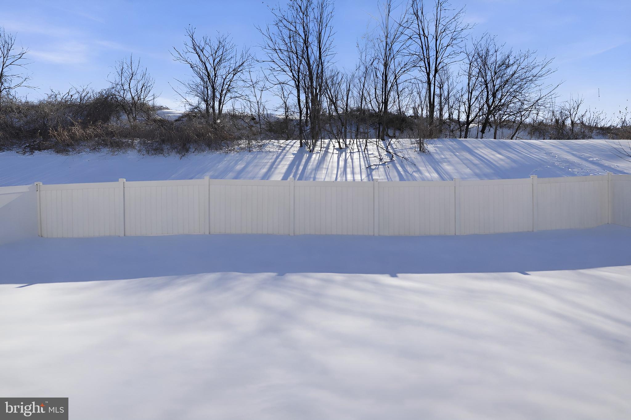 370 Azalea Drive Windsor, PA 17366 - Photo 31 of 40 a view of backyard with tree