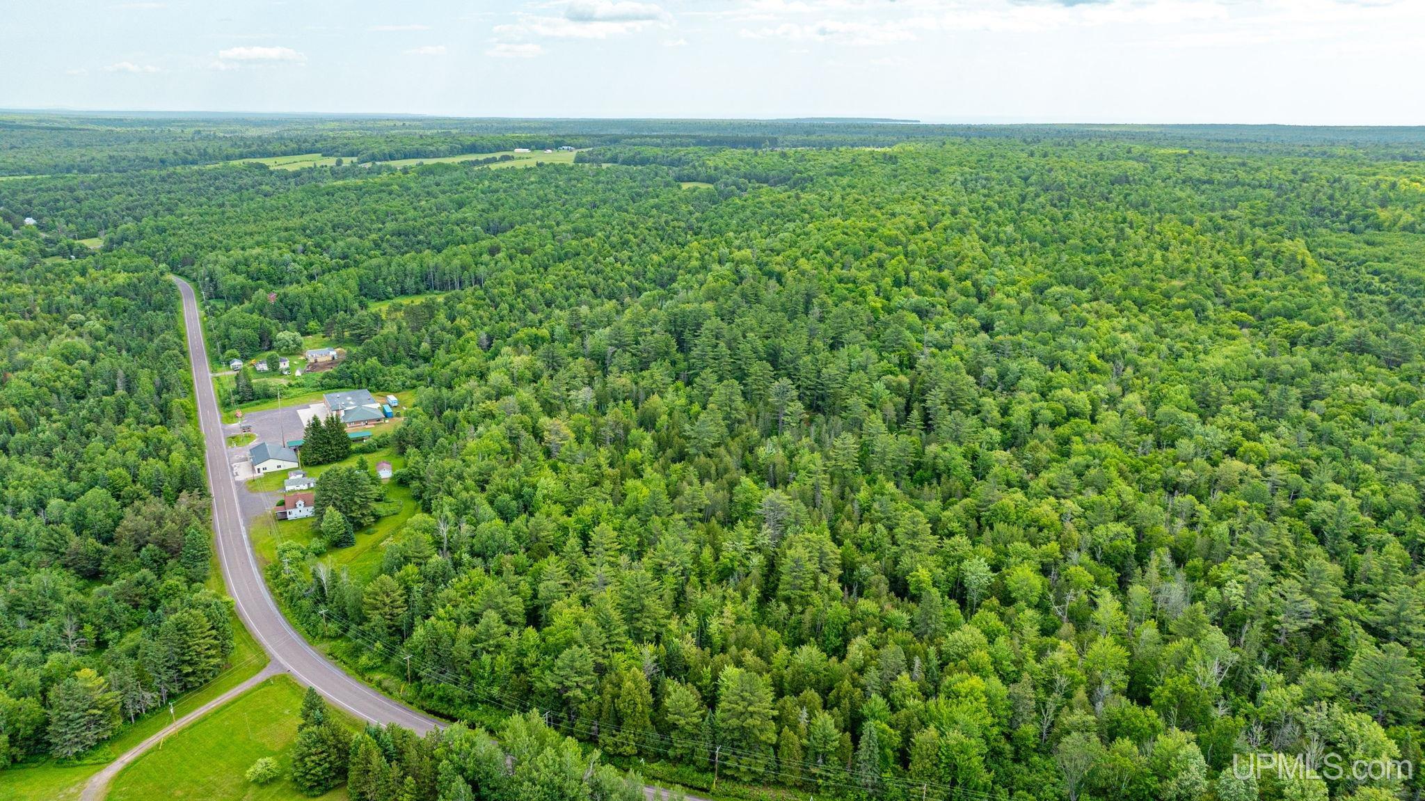 49650 Bootjack Road Lake Linden, MI 49945 - Photo 15 of 50