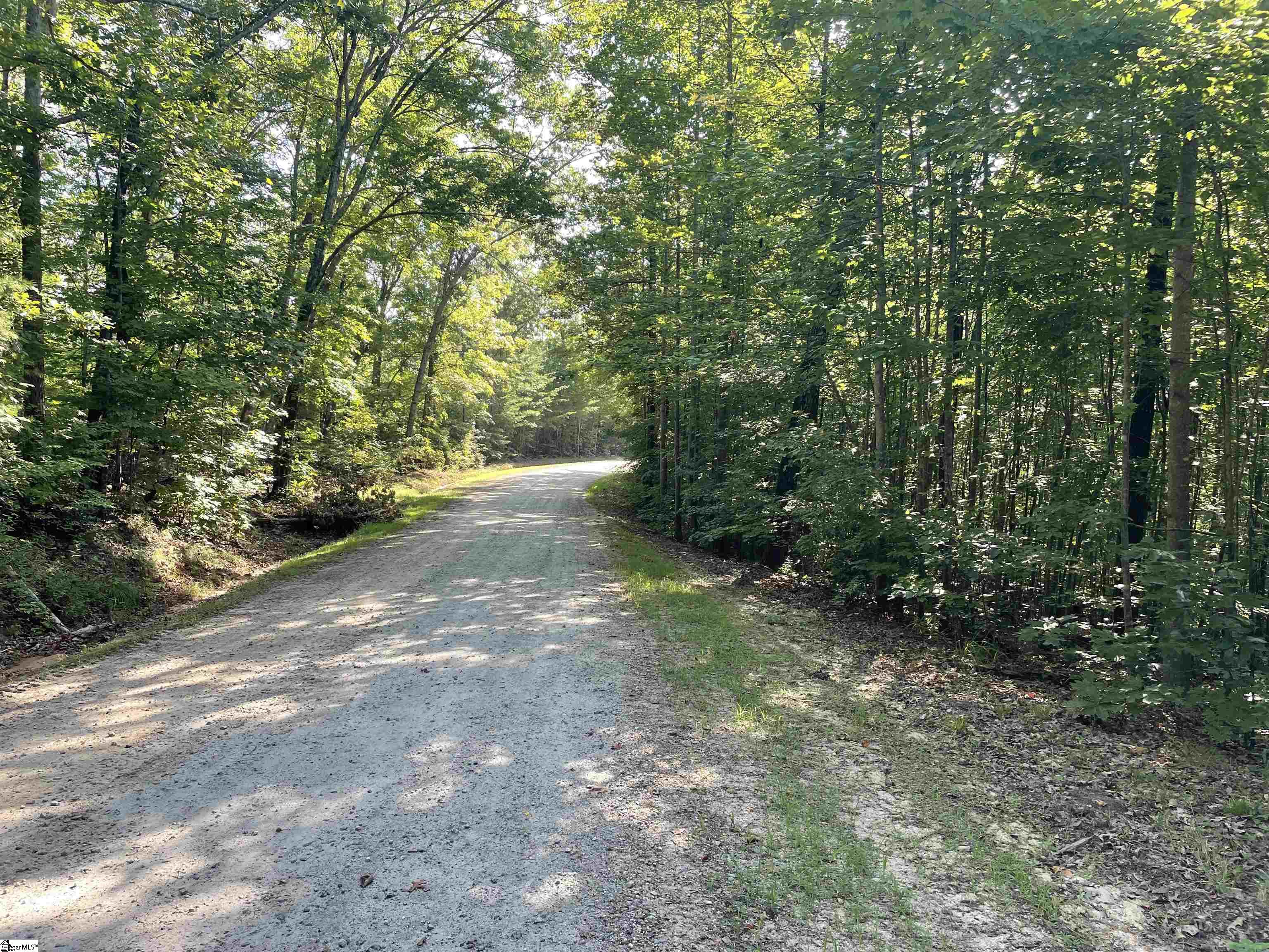 0 Whitewater Point Road Tamassee, SC 29686 - Photo 16 of 22