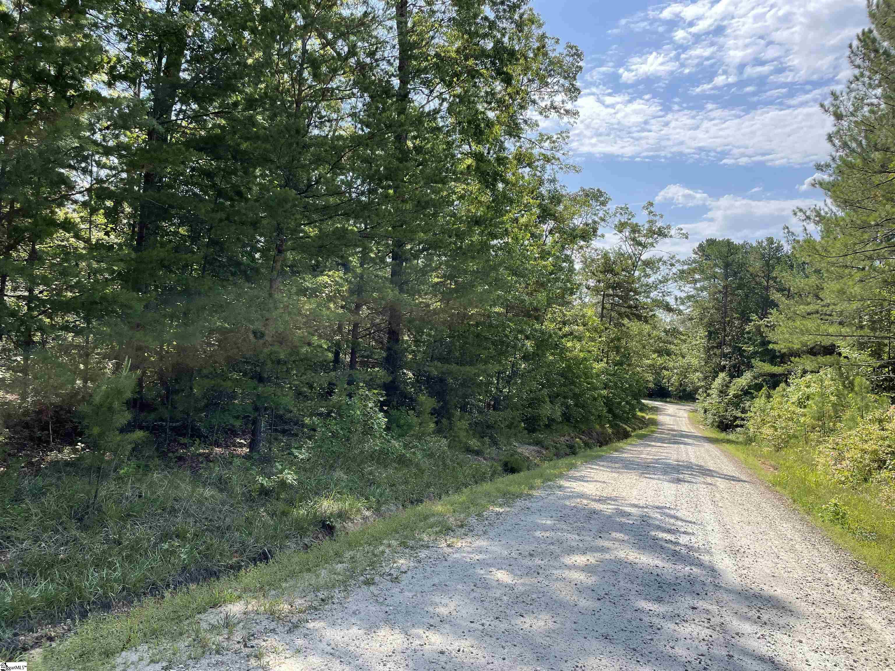 0 Whitewater Point Road Tamassee, SC 29686 - Photo 19 of 22