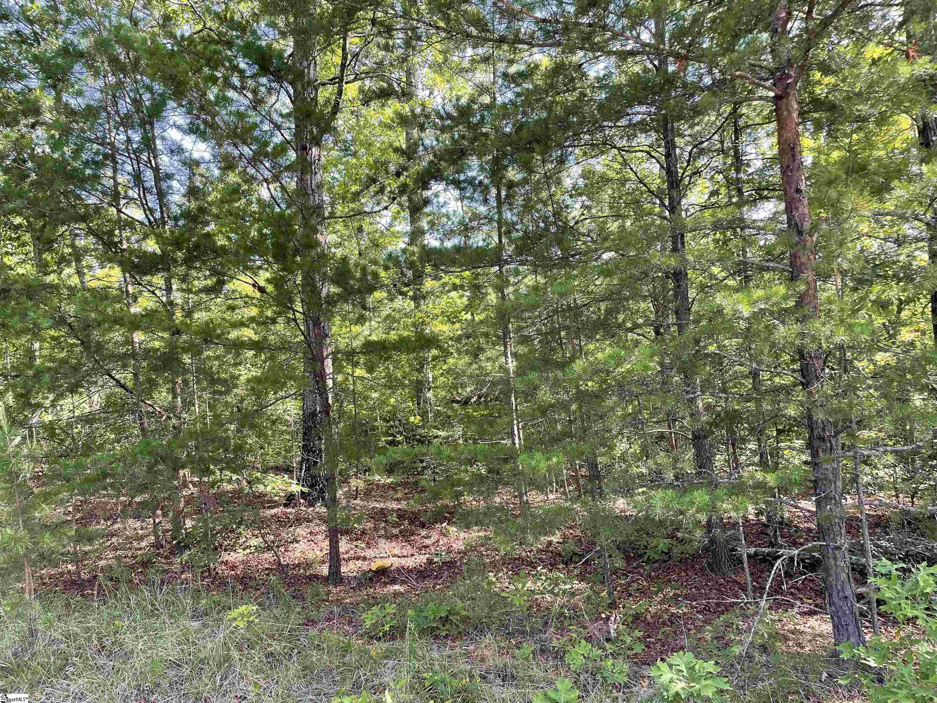 0 Whitewater Point Road Tamassee, SC 29686 - Photo 2 of 23