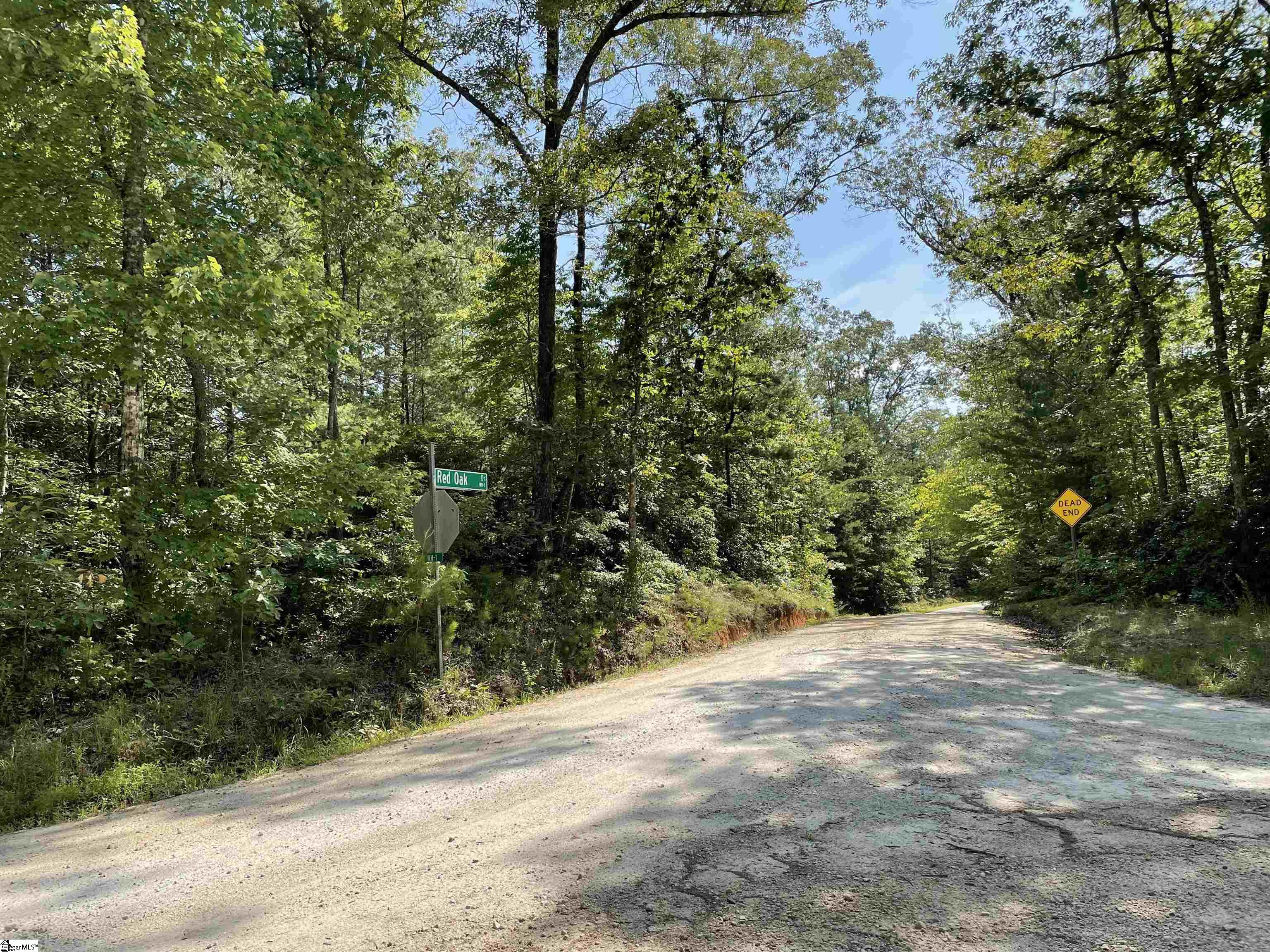 0 Whitewater Point Road Tamassee, SC 29686 - Photo 22 of 22