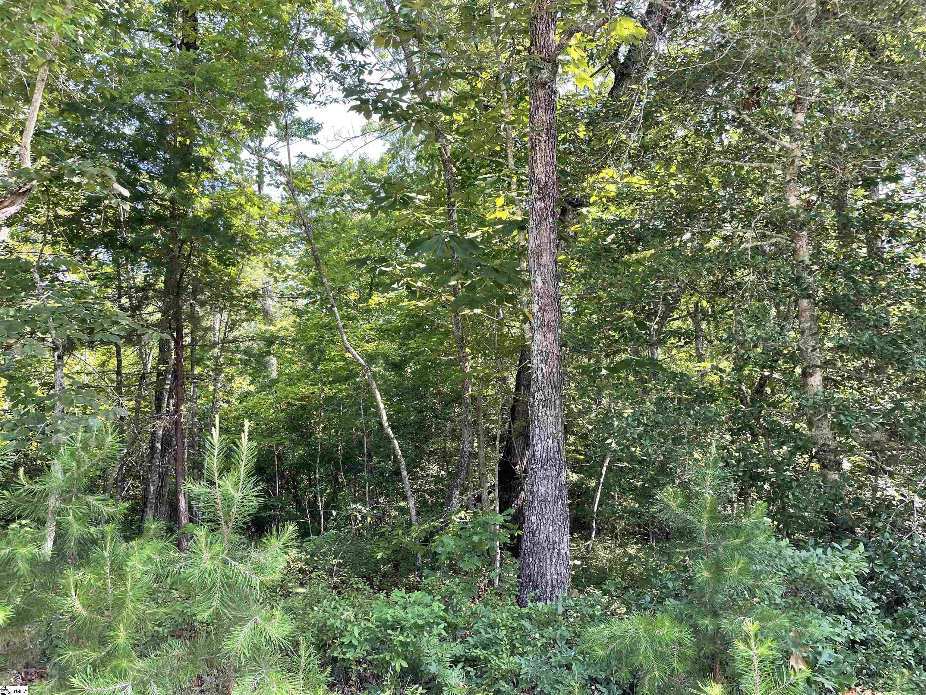 0 Whitewater Point Road Tamassee, SC 29686 - Photo 3 of 23
