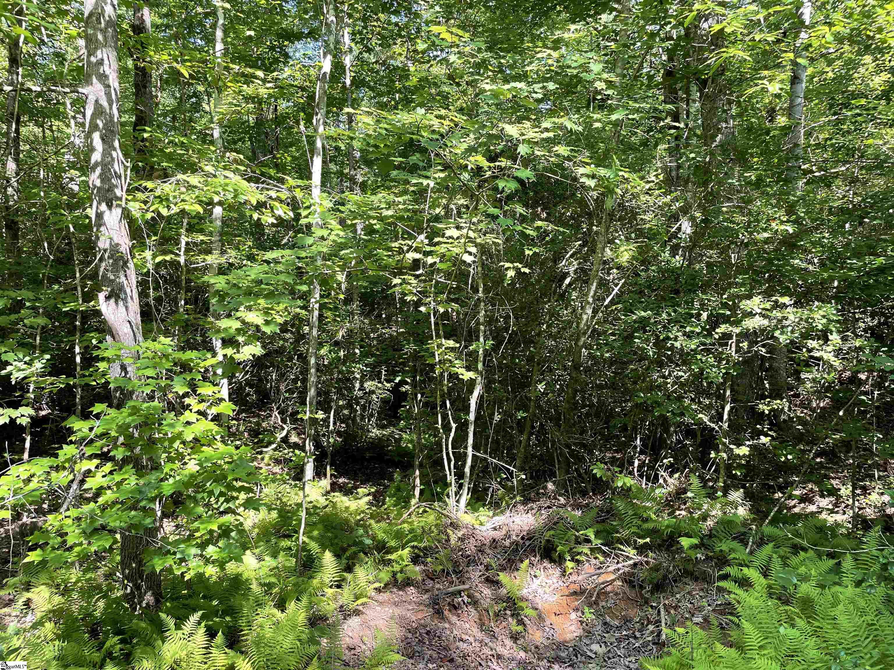 0 Whitewater Point Road Tamassee, SC 29686 - Photo 4 of 23