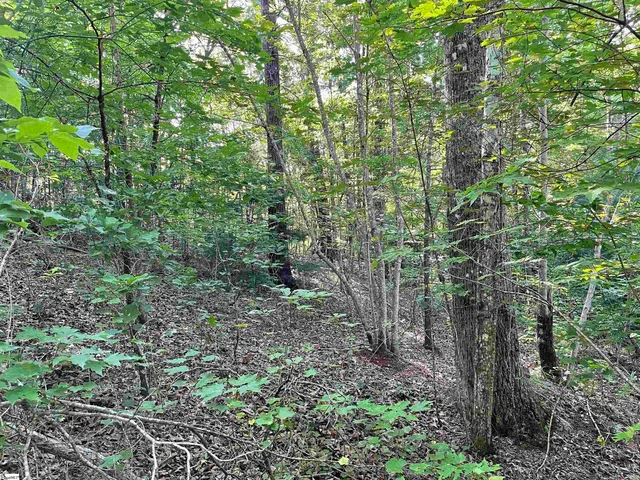 $164,300 | 0 Whitewater Point Road, Tamassee, SC 29686