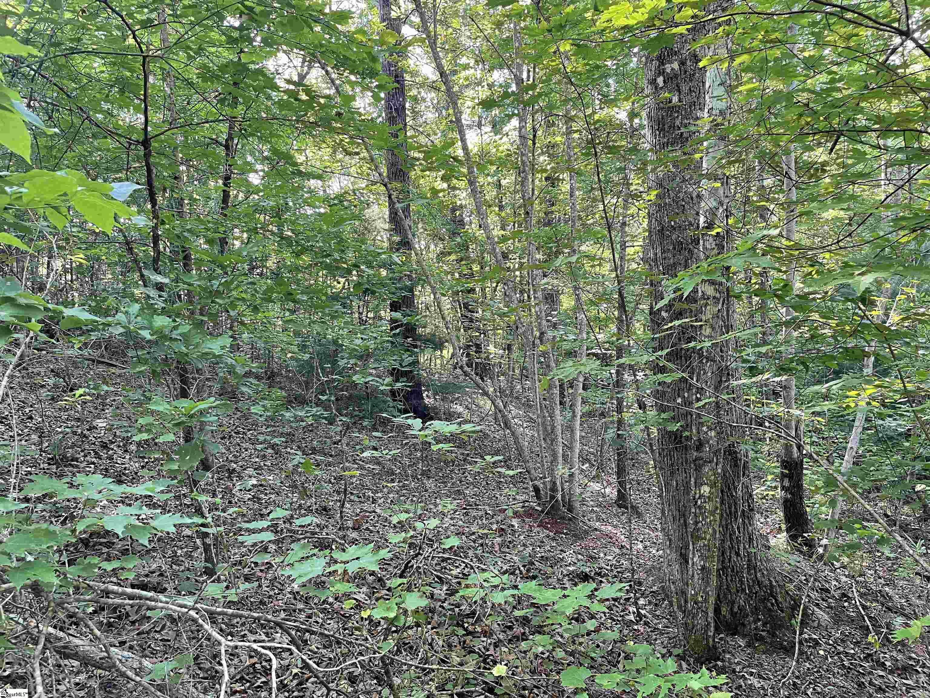 0 Whitewater Point Road Tamassee, SC 29686 - Photo 8 of 23