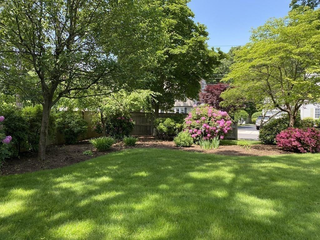 25 Clearwater Road Newton, MA 02462 - Photo 3 of 23 a front view of a house with a big yard and a large tree