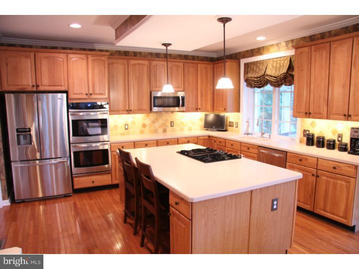 1003 Ridgehaven Road West Chester, PA 19382 - Photo 8 of 25 Kitchen